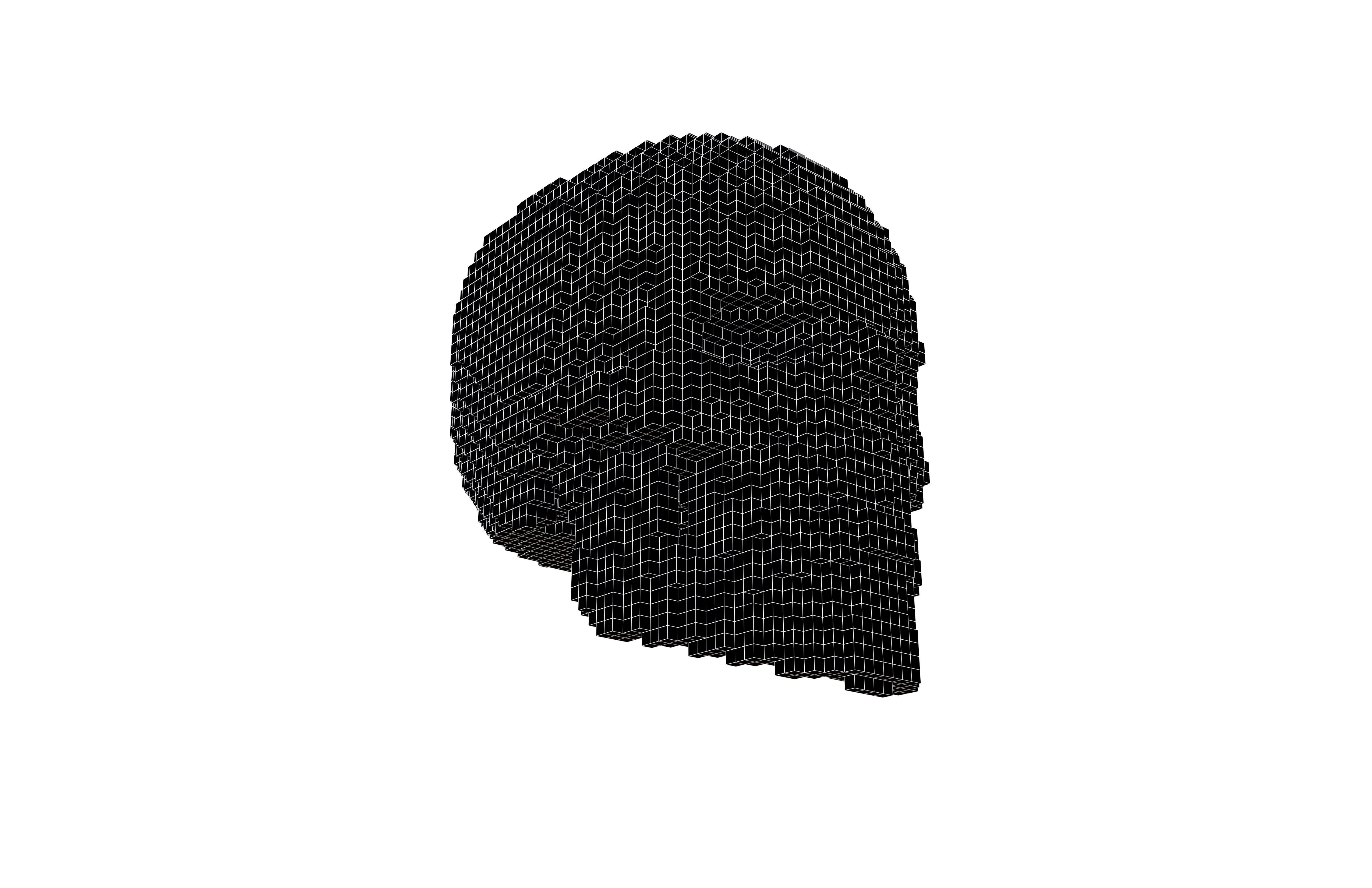 Voxel Skull v1 007 3D model_8