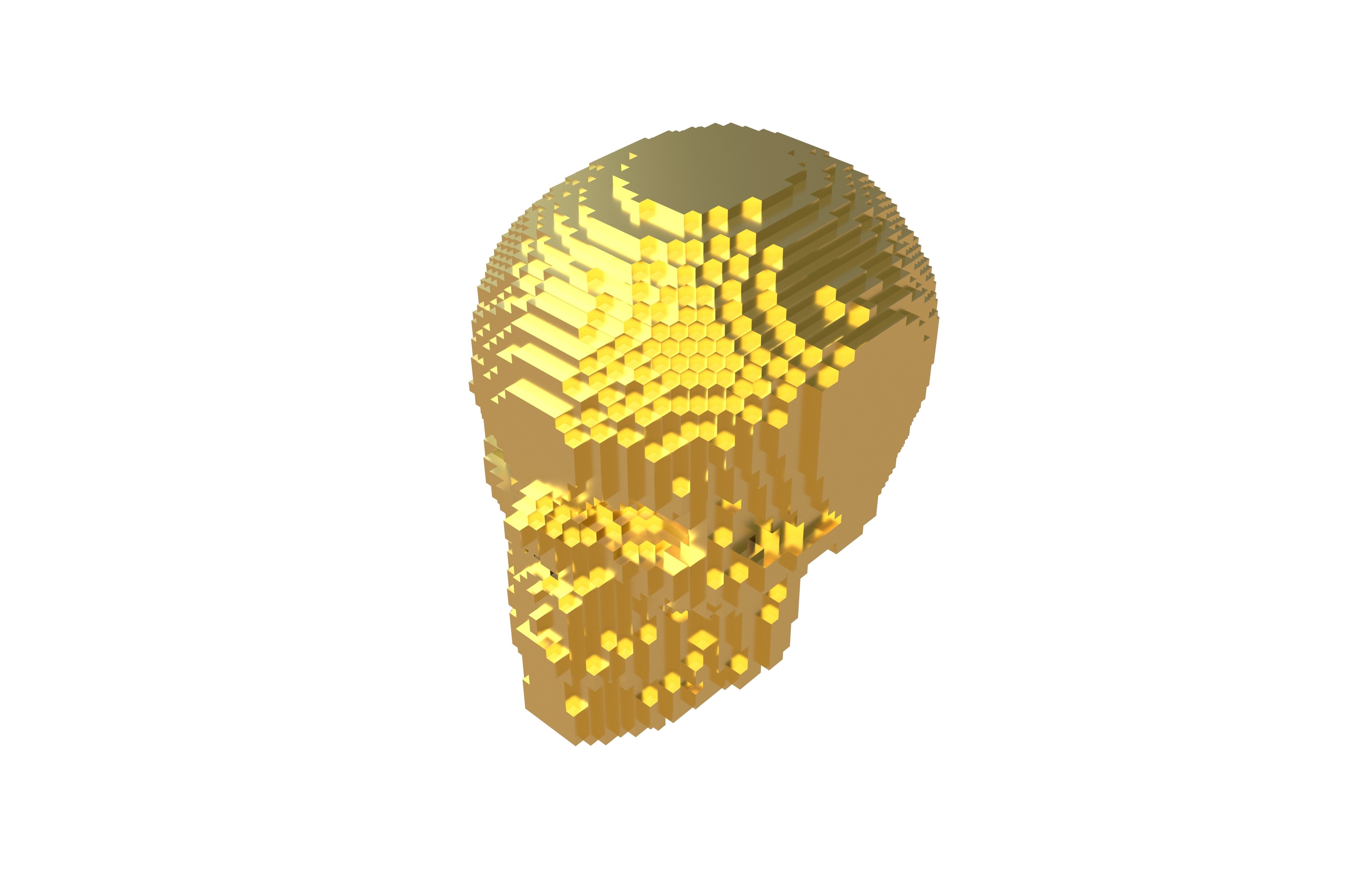 Voxel Skull v1 007 3D model_3