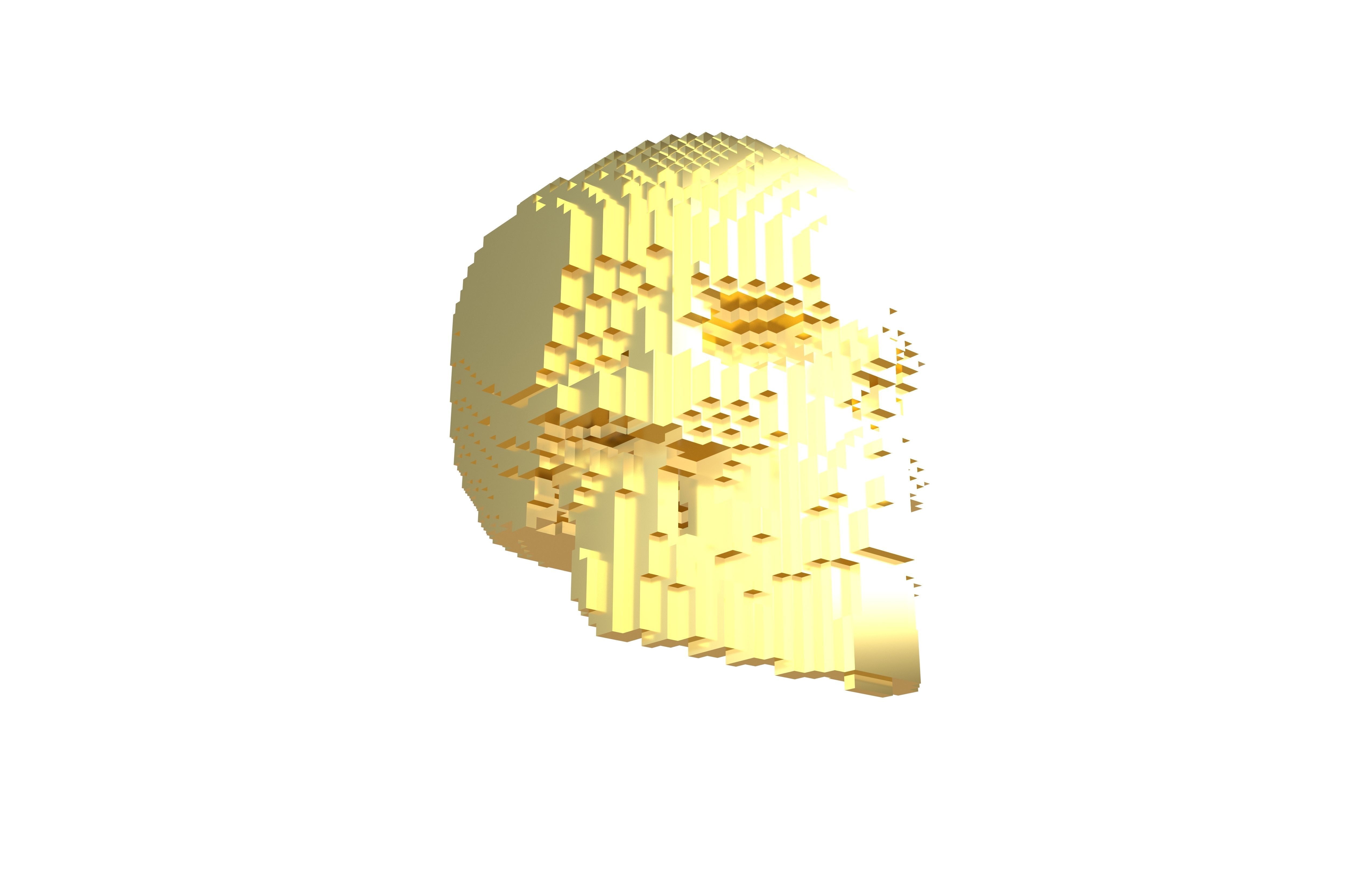 Voxel Skull v1 007 3D model_4