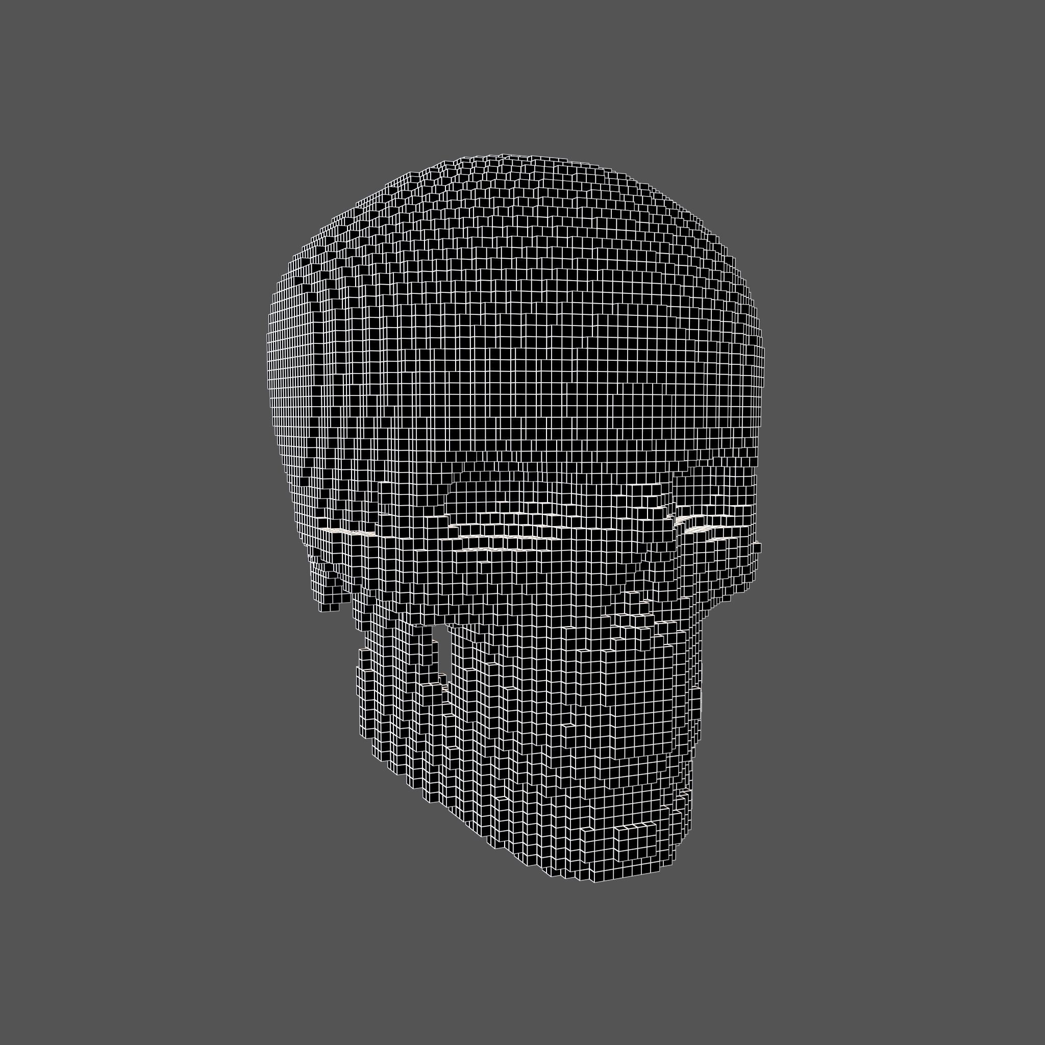 Voxel Skull v2 003 3D model_4