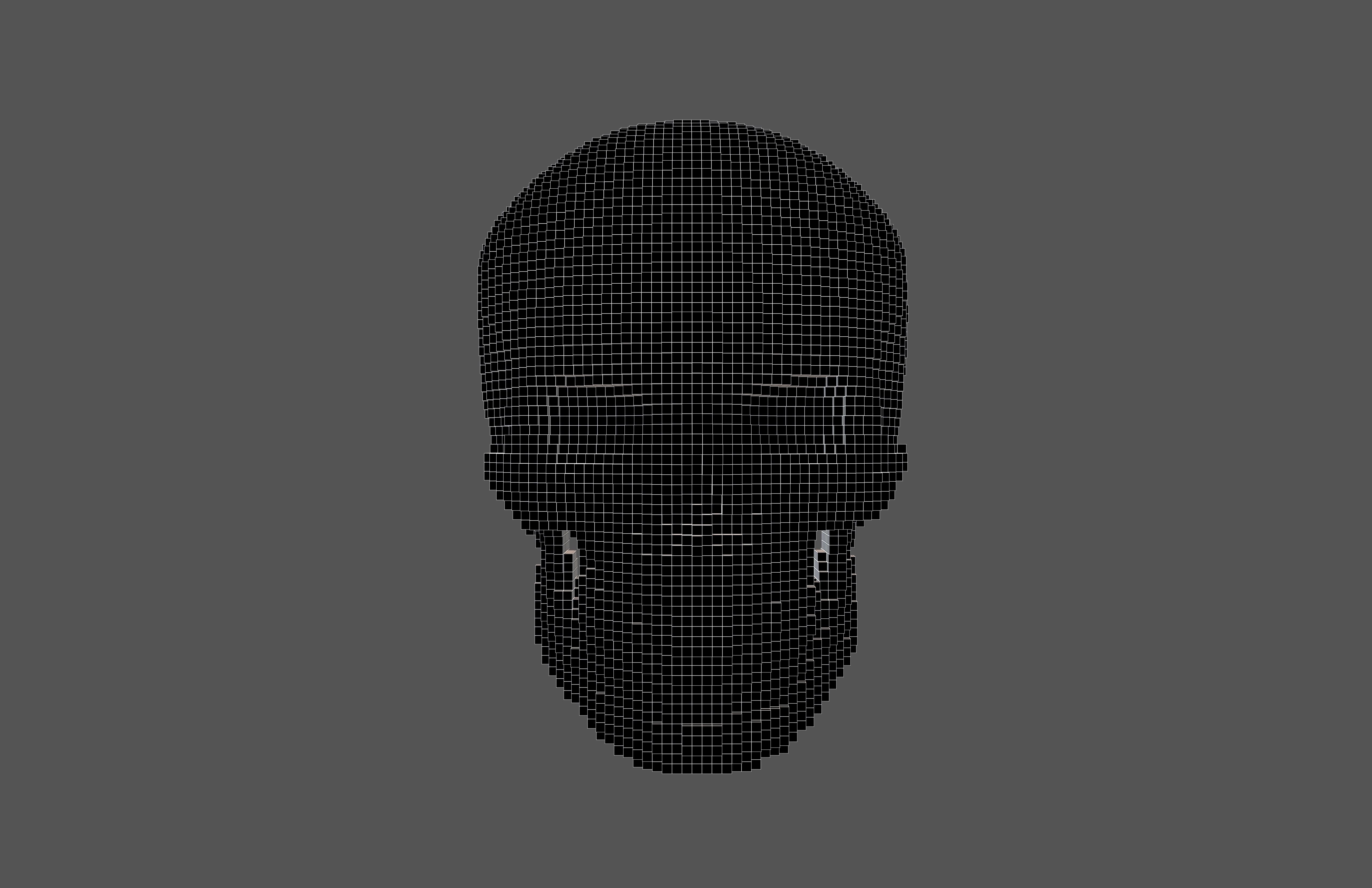 Voxel Skull v2 003 3D model_5