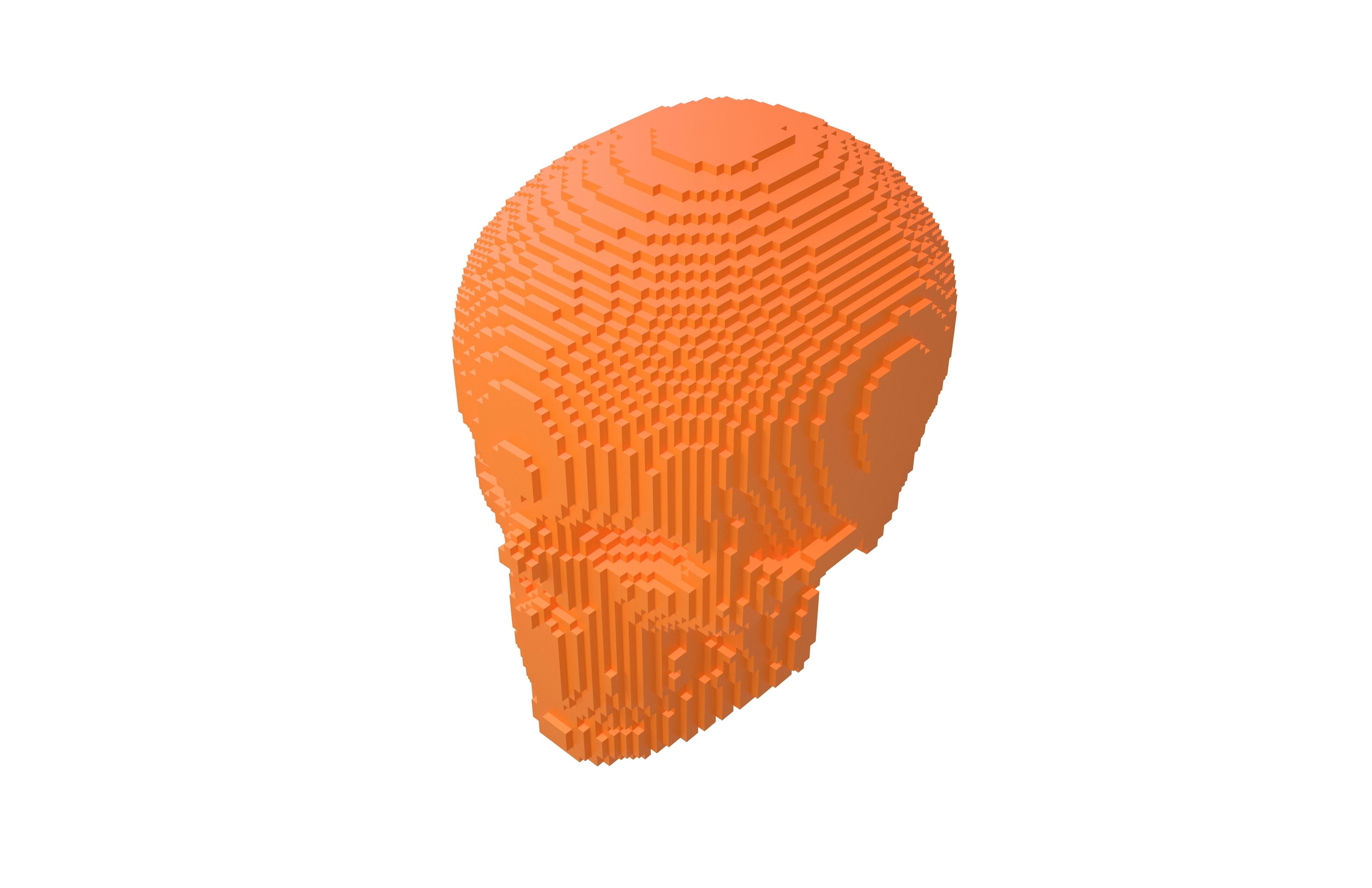 Voxel Skull v2 003 3D model_2