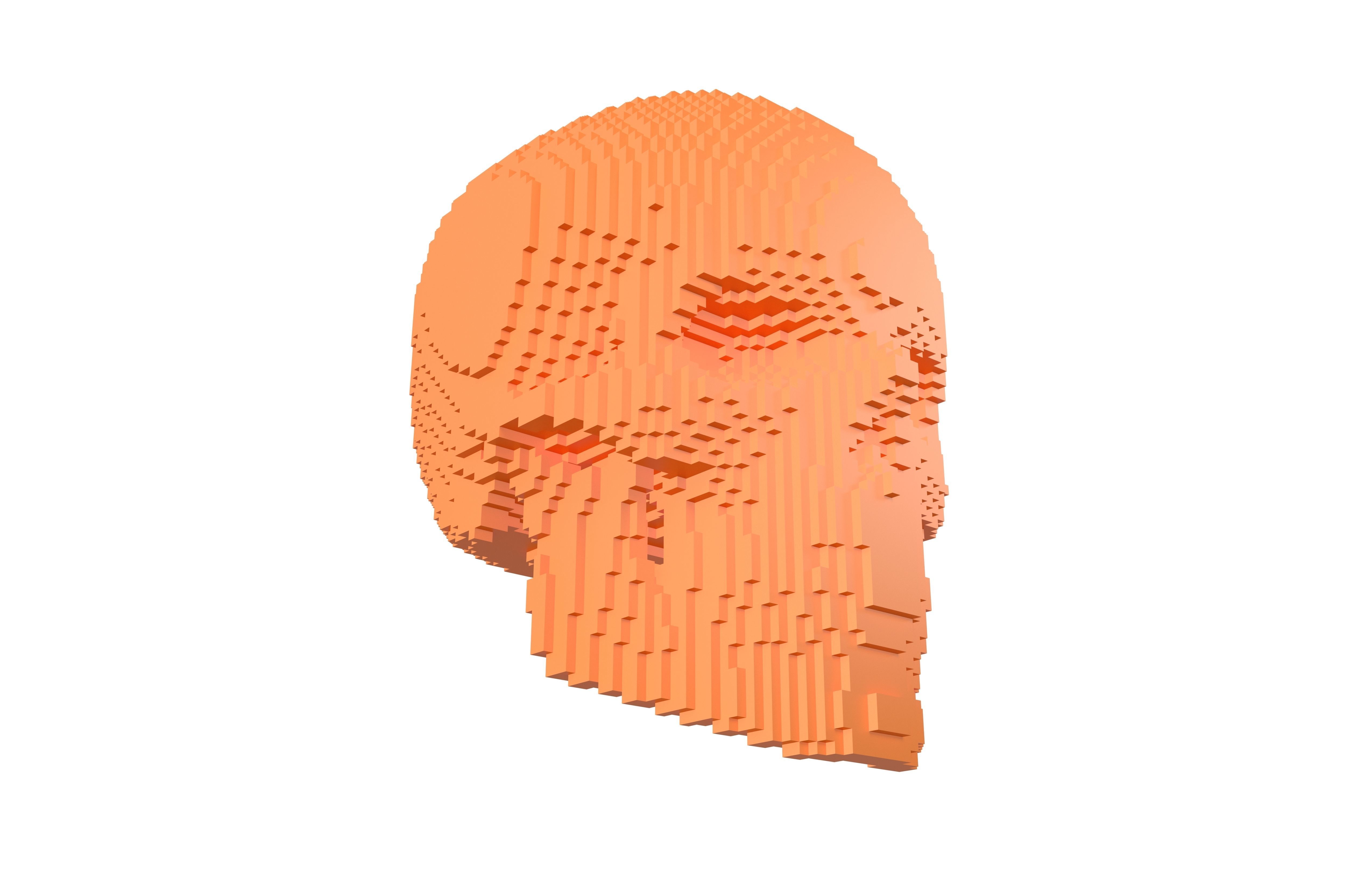 Voxel Skull v2 003 3D model_3