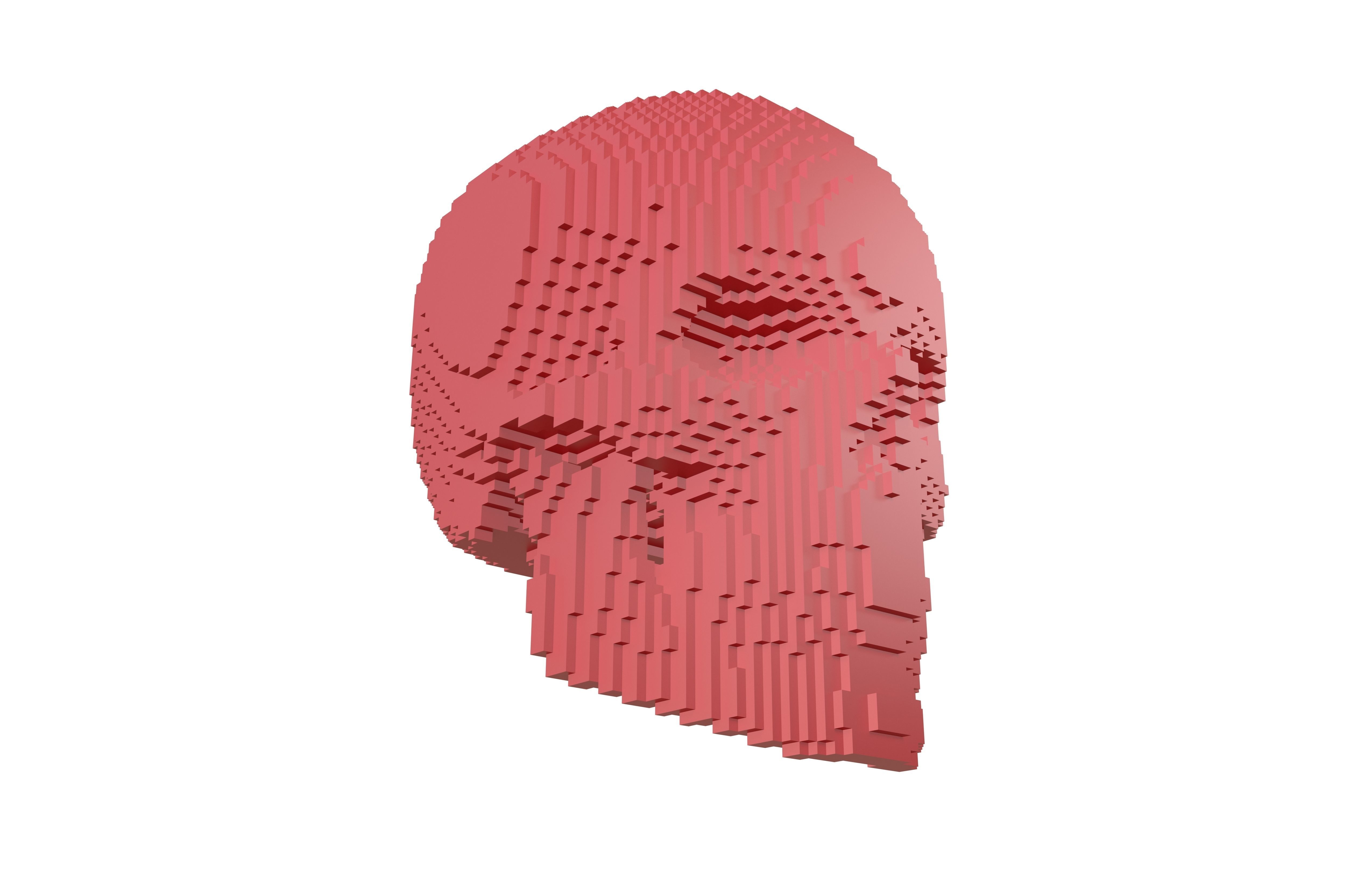 Voxel Skull v2 005 3D model_3