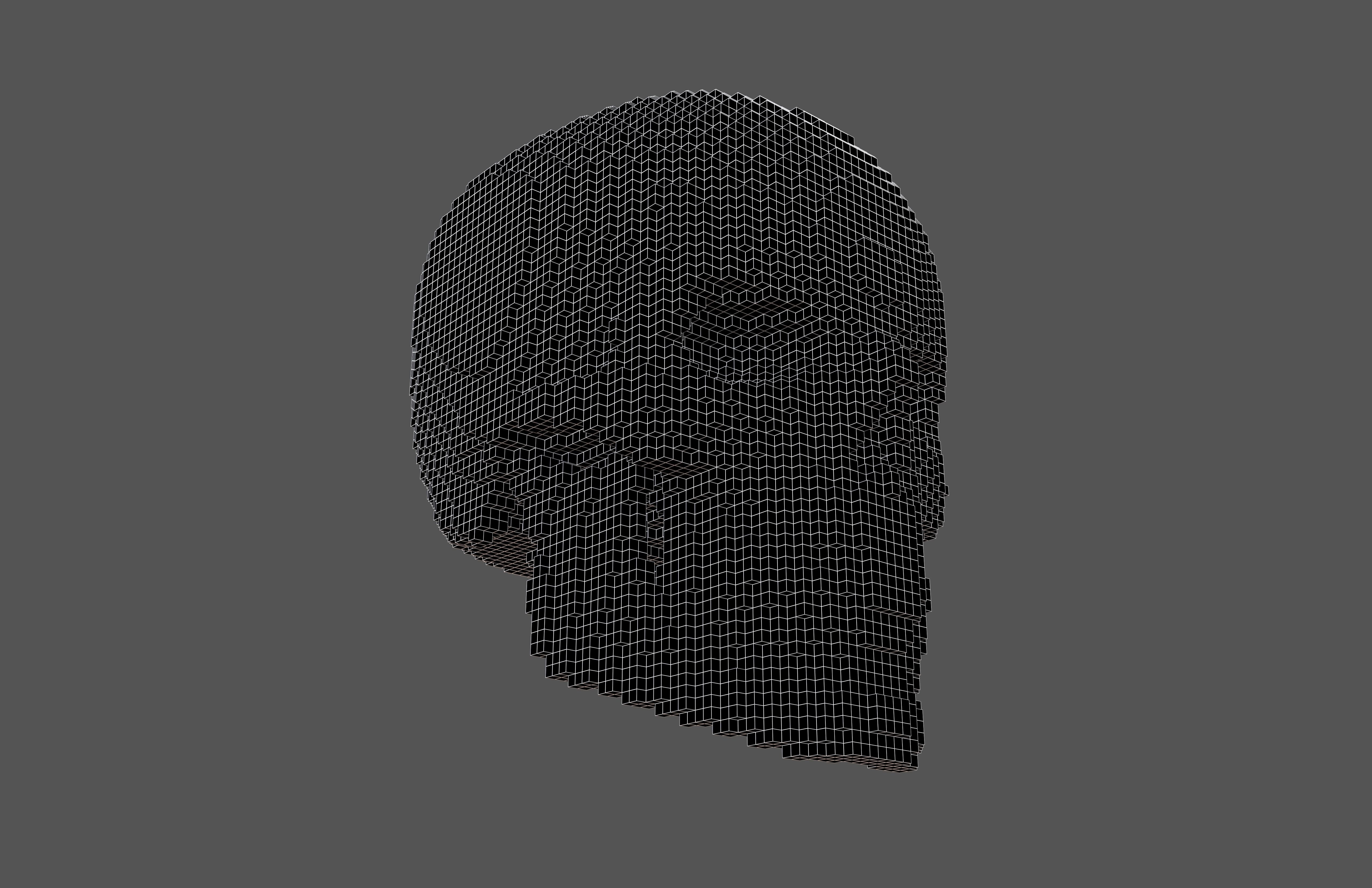Voxel Skull v2 005 3D model_7