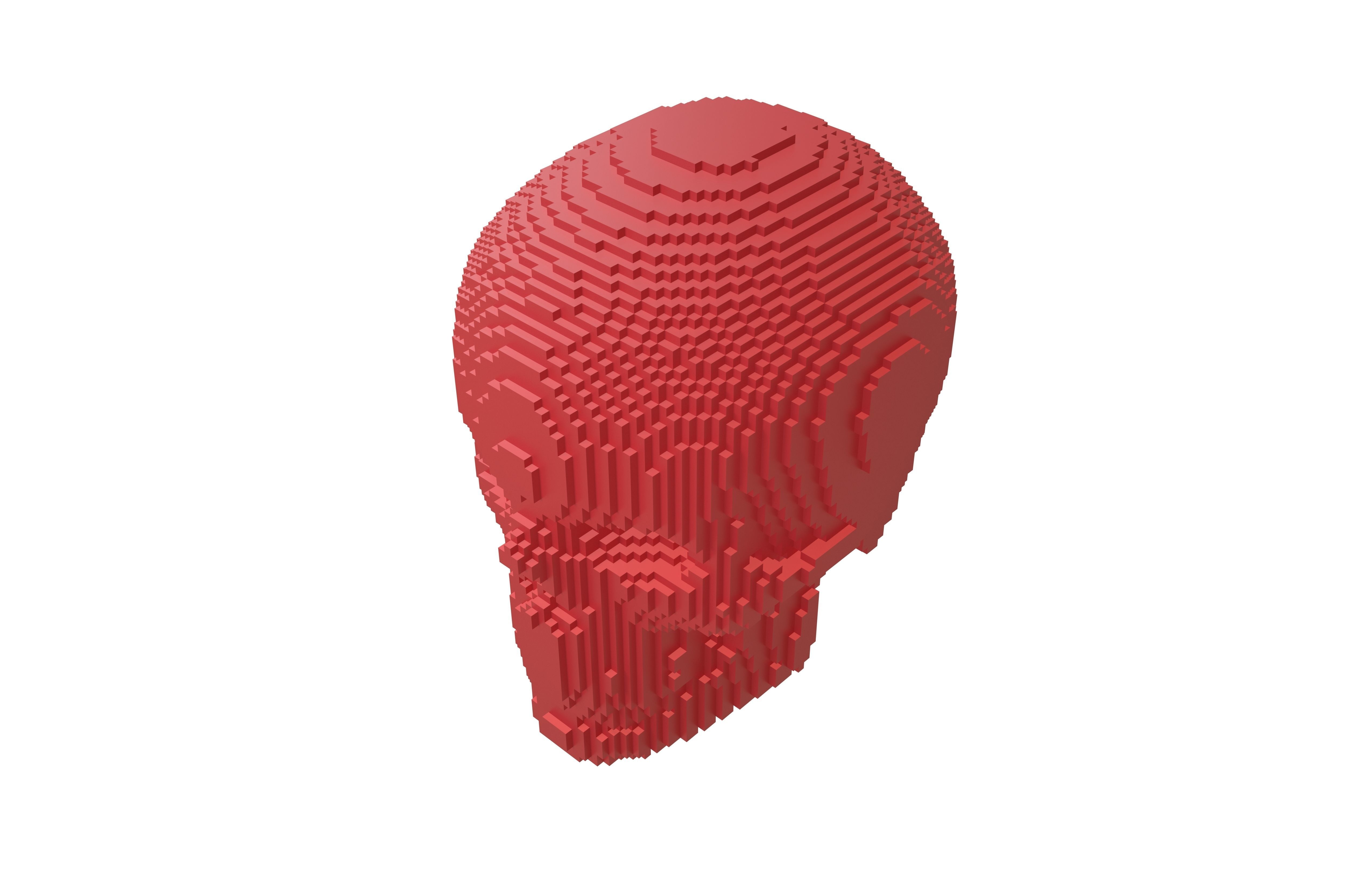 Voxel Skull v2 005 3D model_2