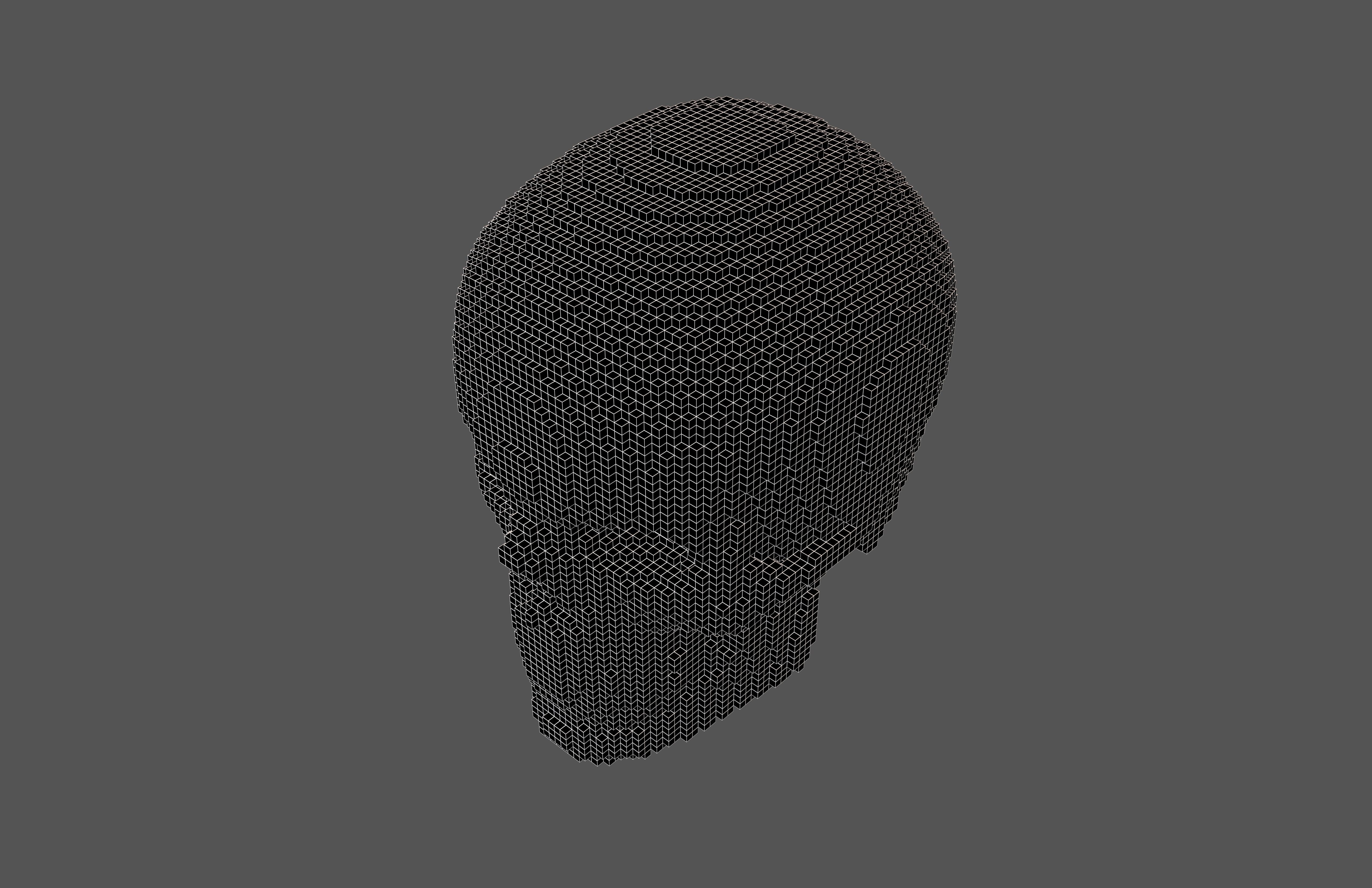 Voxel Skull v2 005 3D model_6