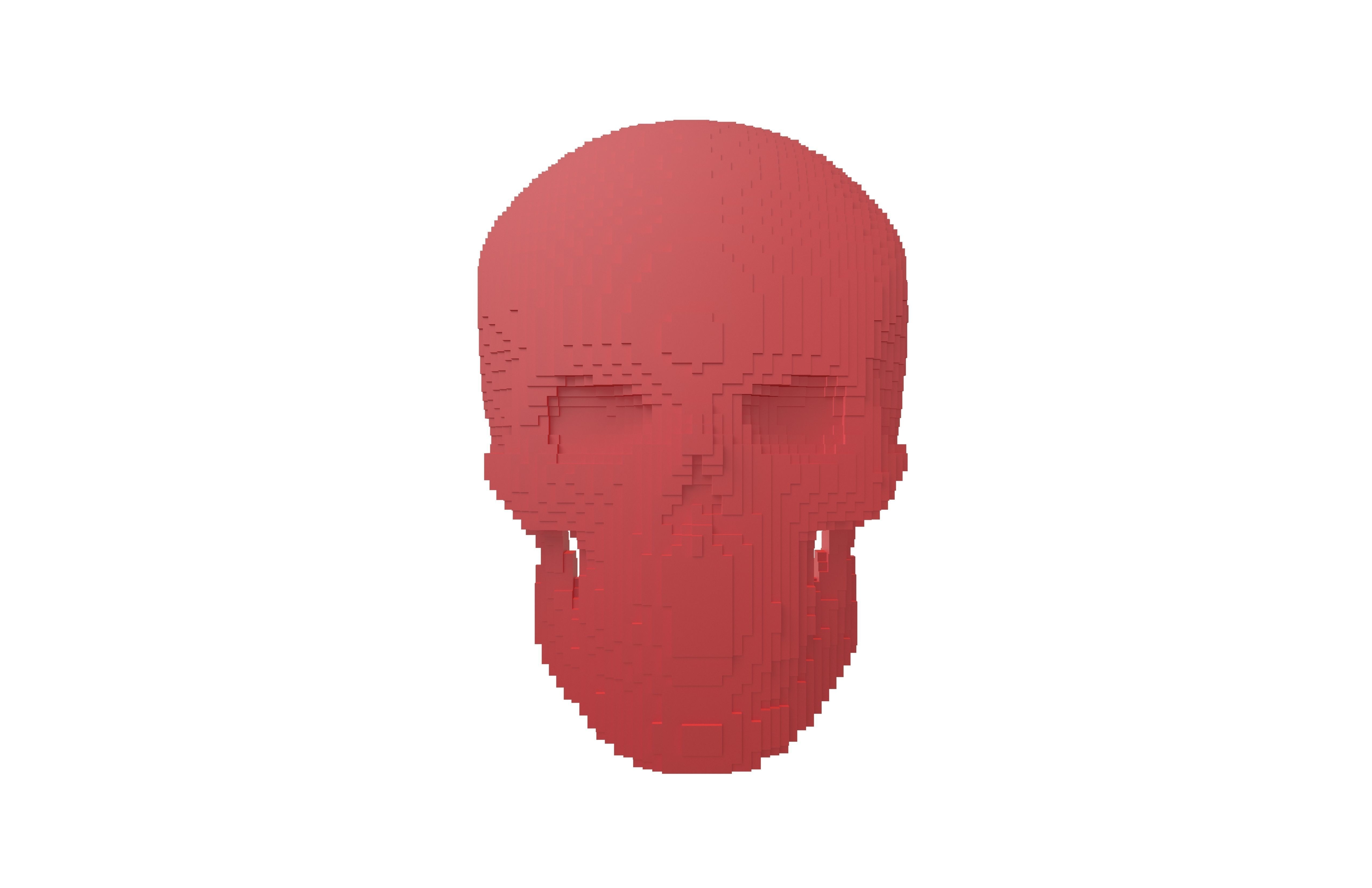 Voxel Skull v2 005 3D model_1