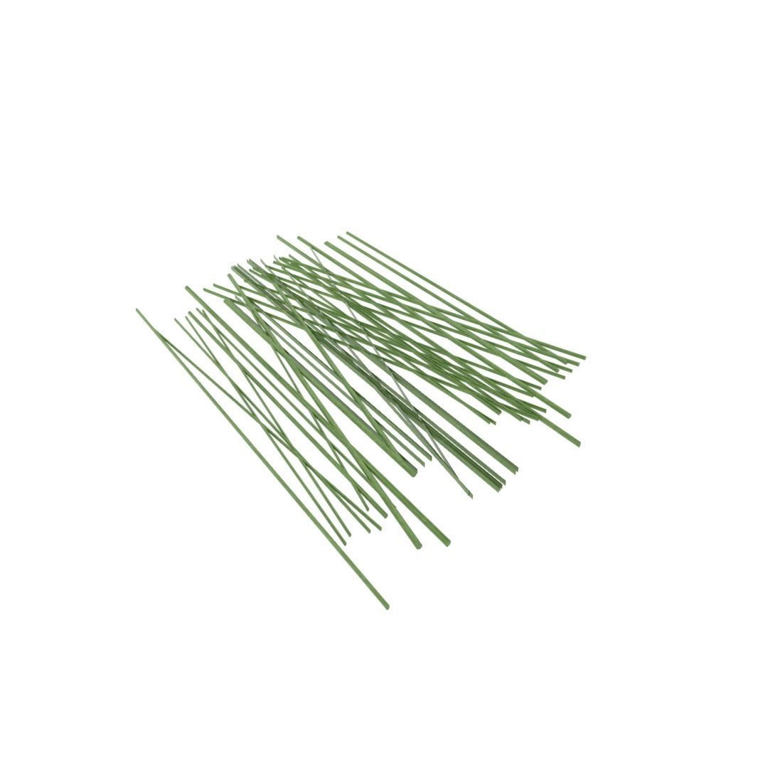 Grass sticks Low-poly 3D model_1