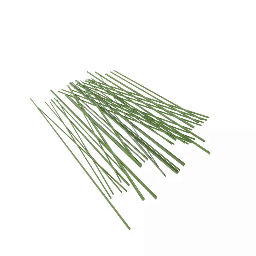 Grass sticks Low-poly 3D model_0