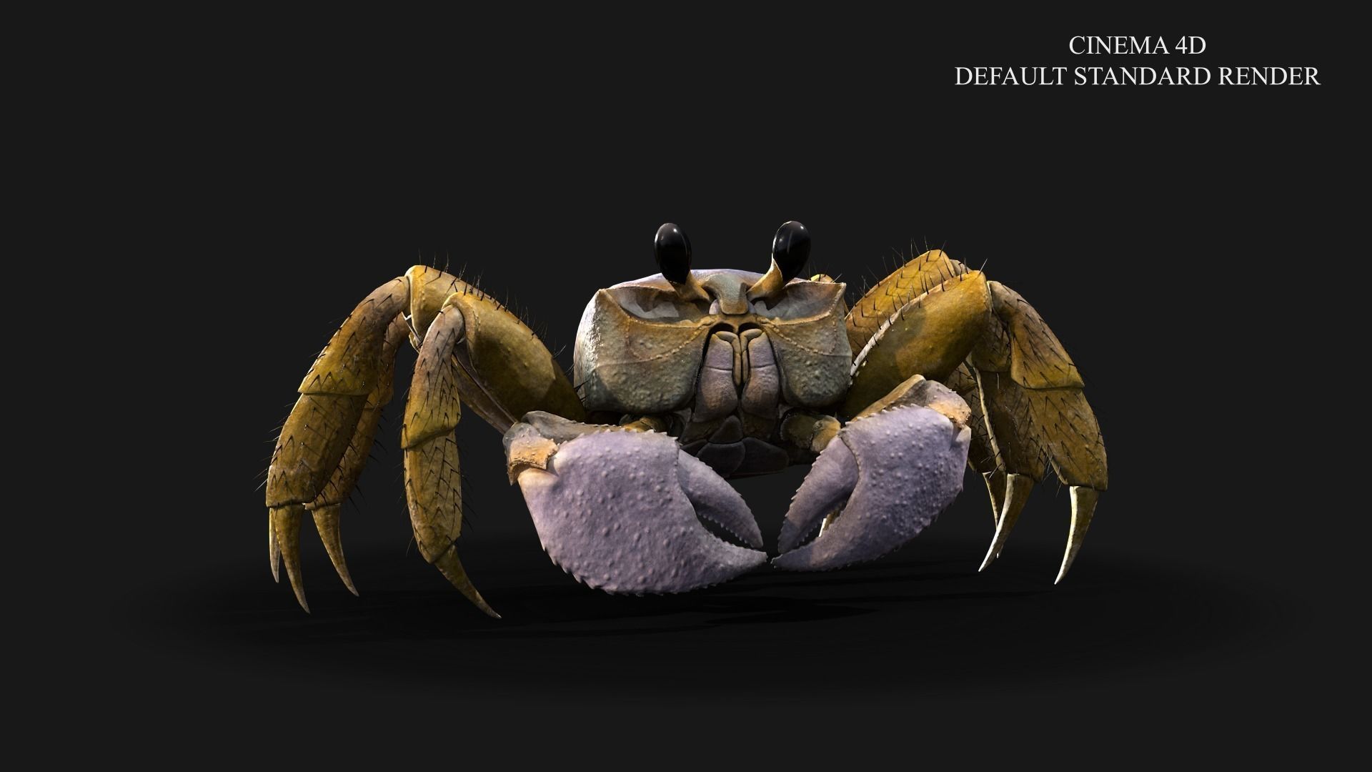 Ghost Crab Low-poly 3D model_5