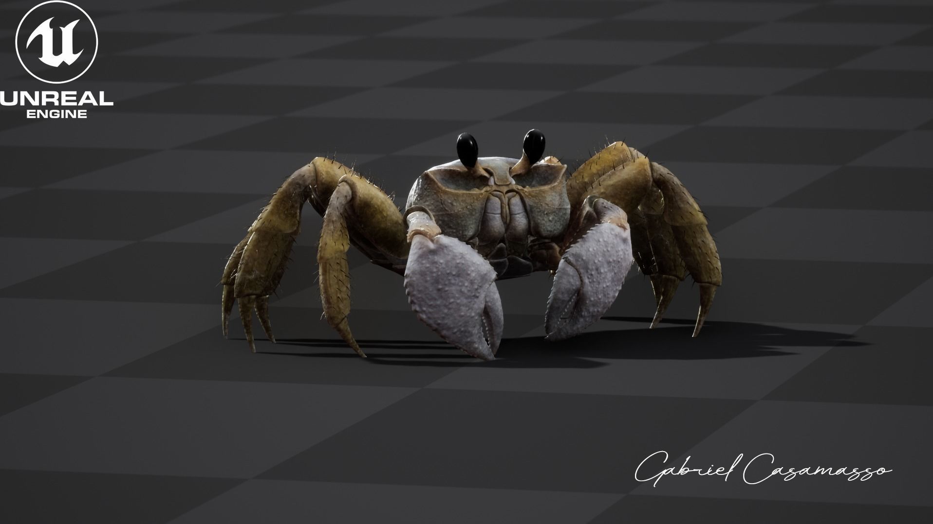 Ghost Crab Low-poly 3D model_4