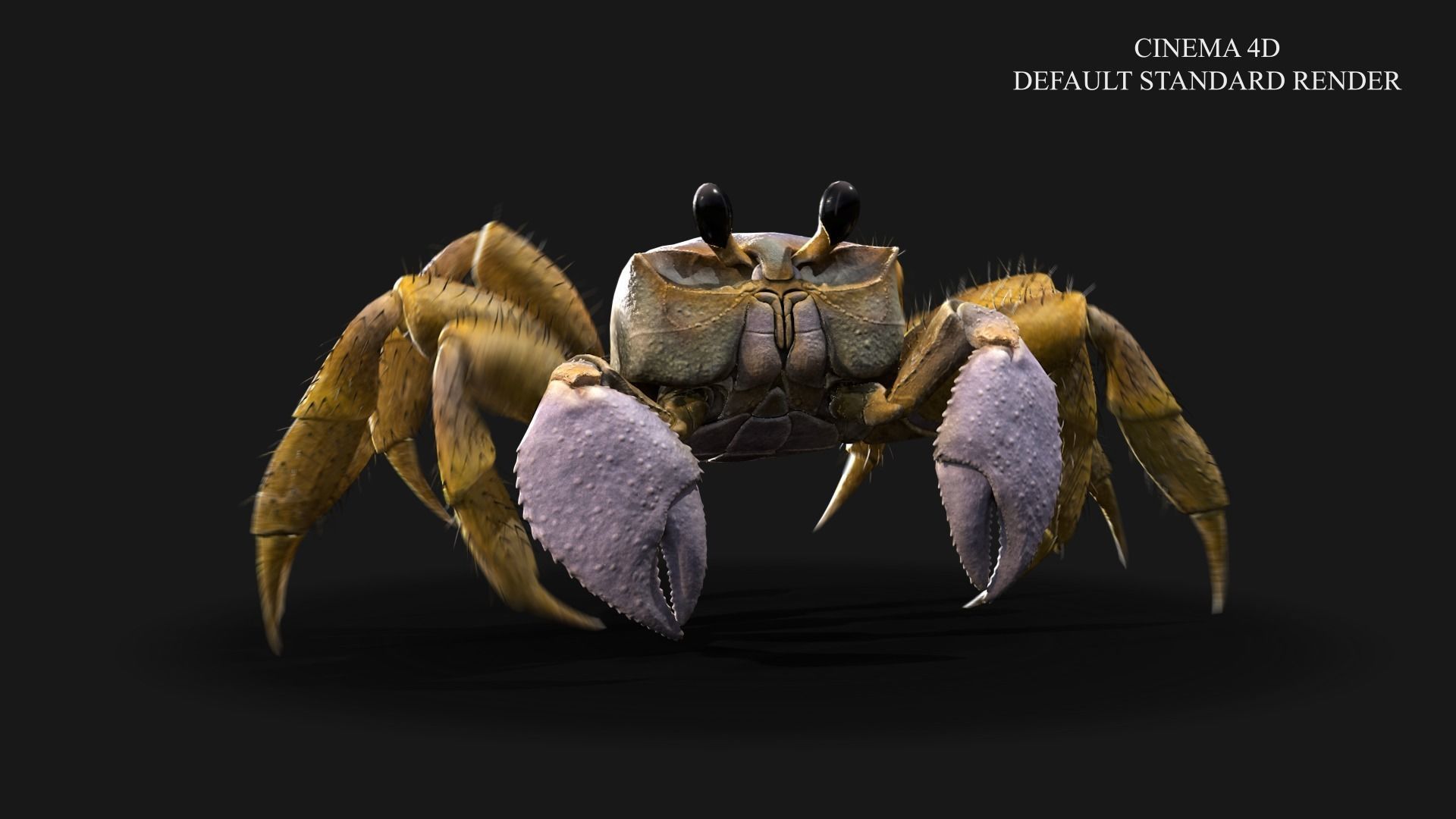 Ghost Crab Low-poly 3D model_6