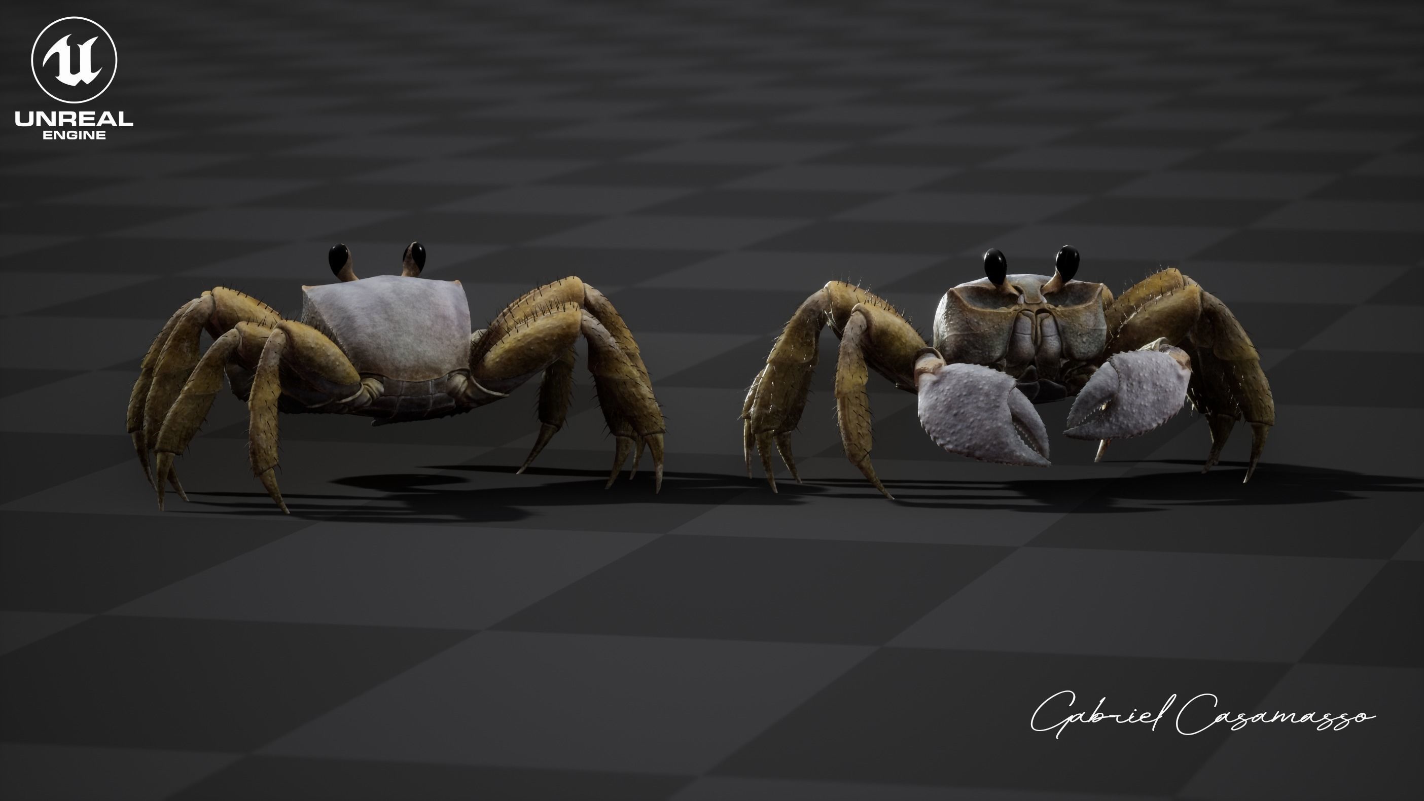 Ghost Crab Low-poly 3D model_3