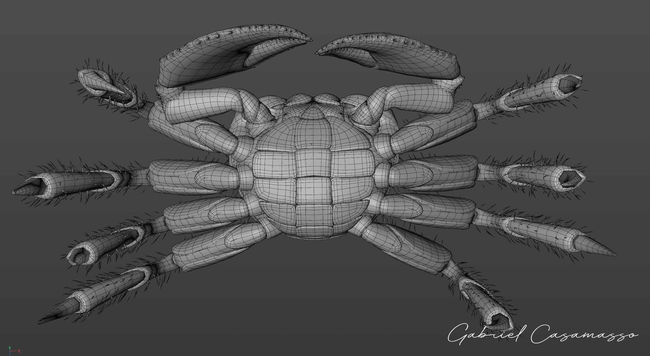 Ghost Crab Low-poly 3D model_10