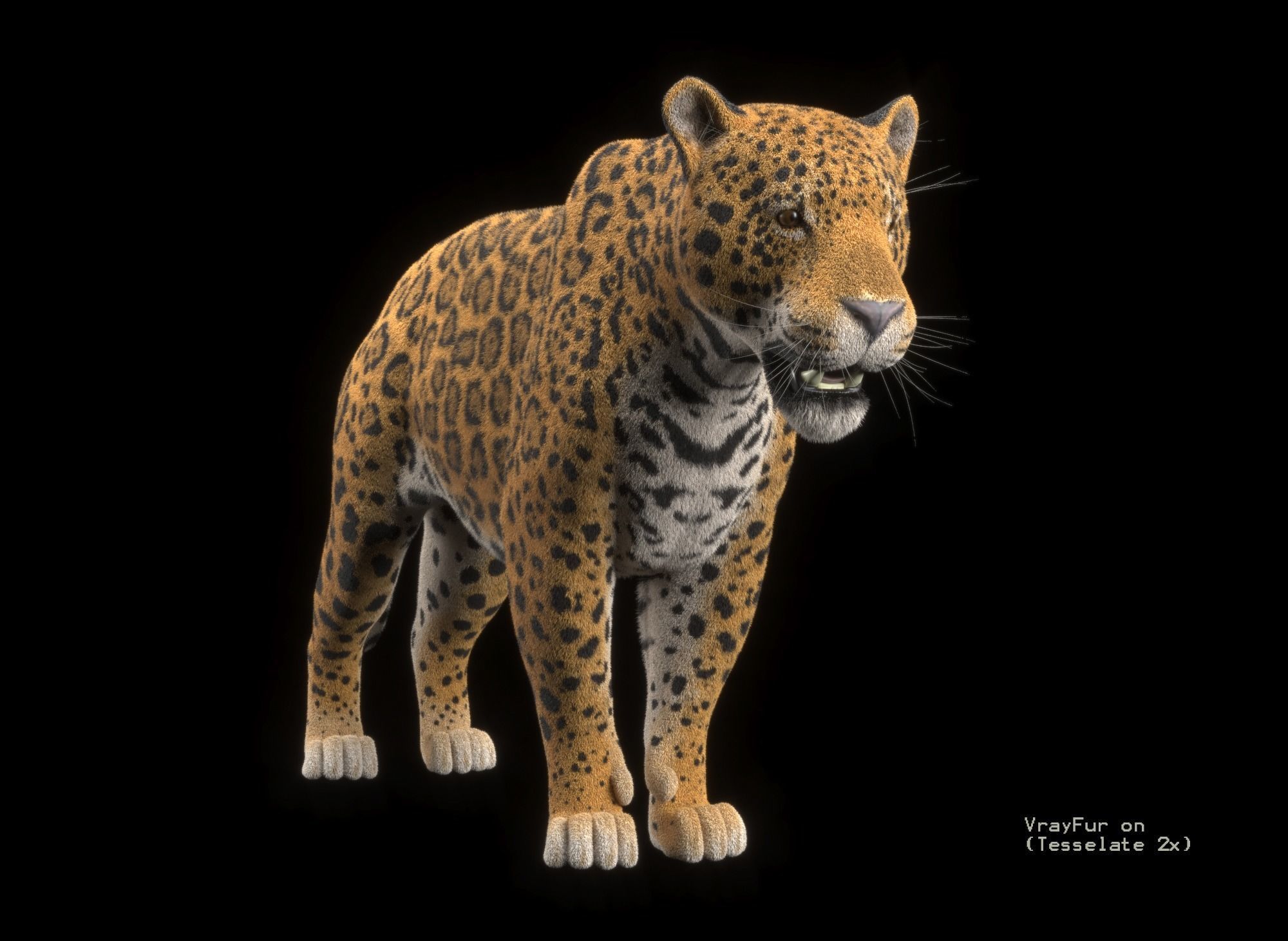 Jaguar Low-poly 3D model_9