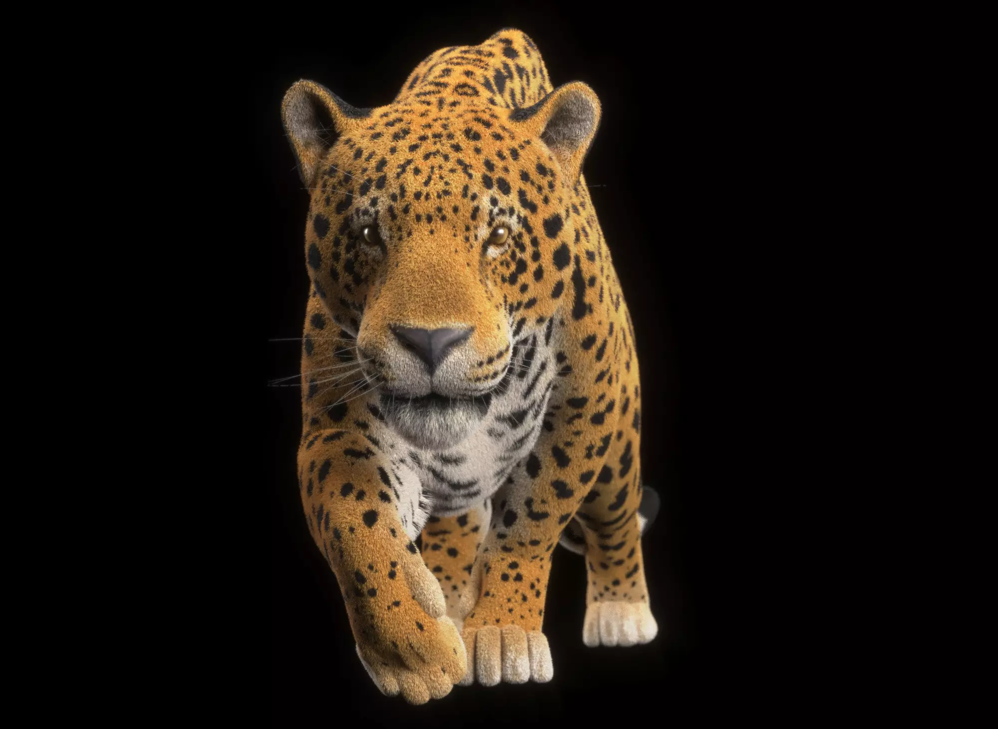 Jaguar Low-poly 3D model_0