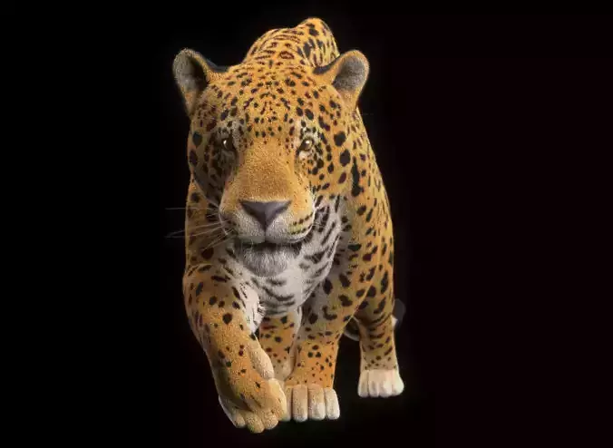 Jaguar Low-poly 3D model
