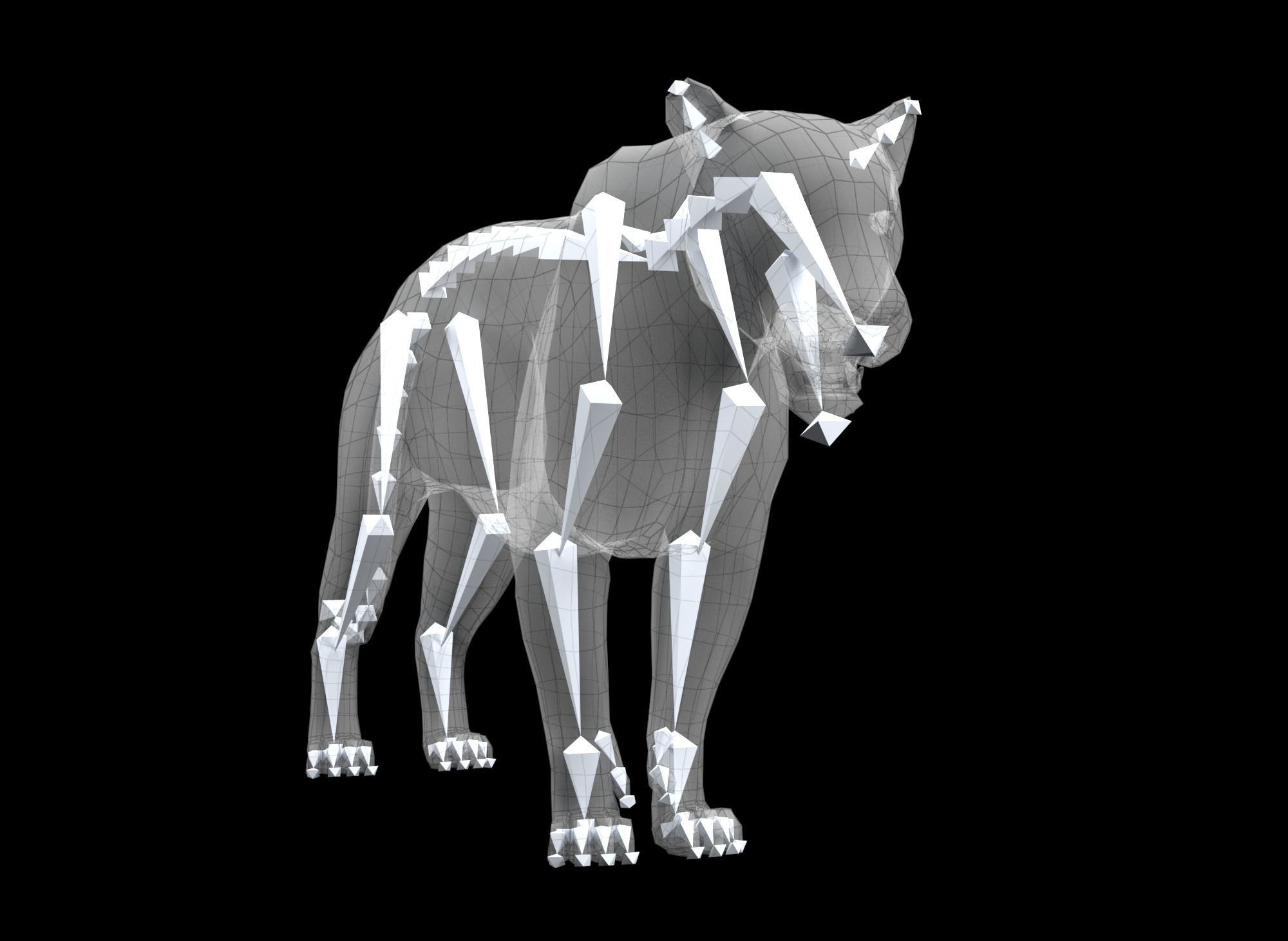 Jaguar Low-poly 3D model_10