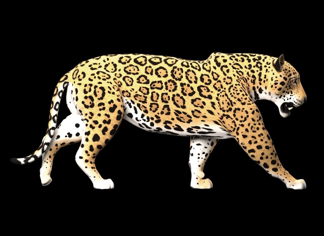 Jaguar Low-poly 3D model_11