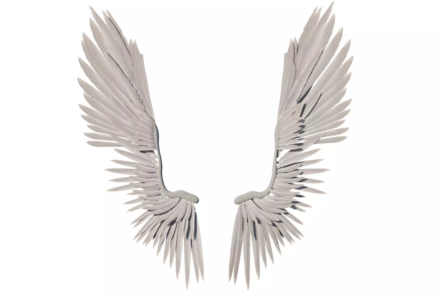 Angel Wing Rig Angel Wings Rig 3D model rigged | CGTrader