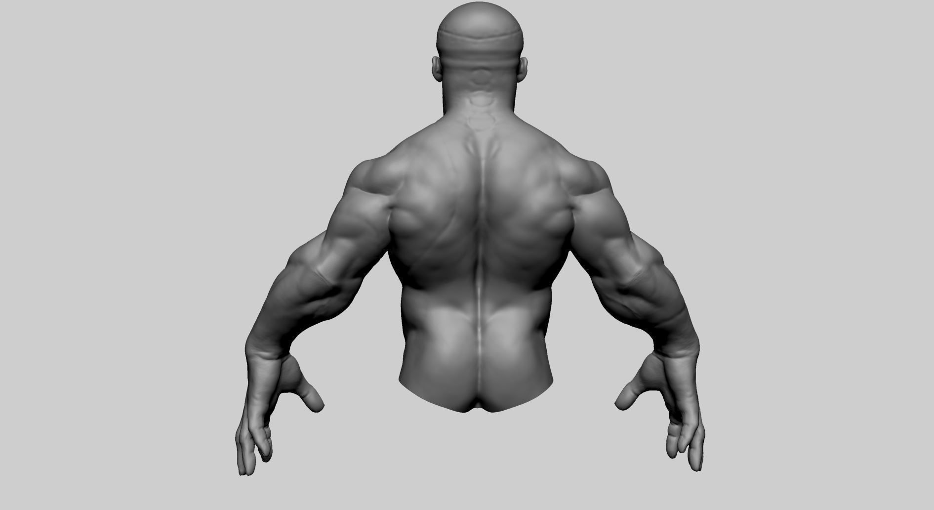 Stylized Creature Upper Body 3D model_5