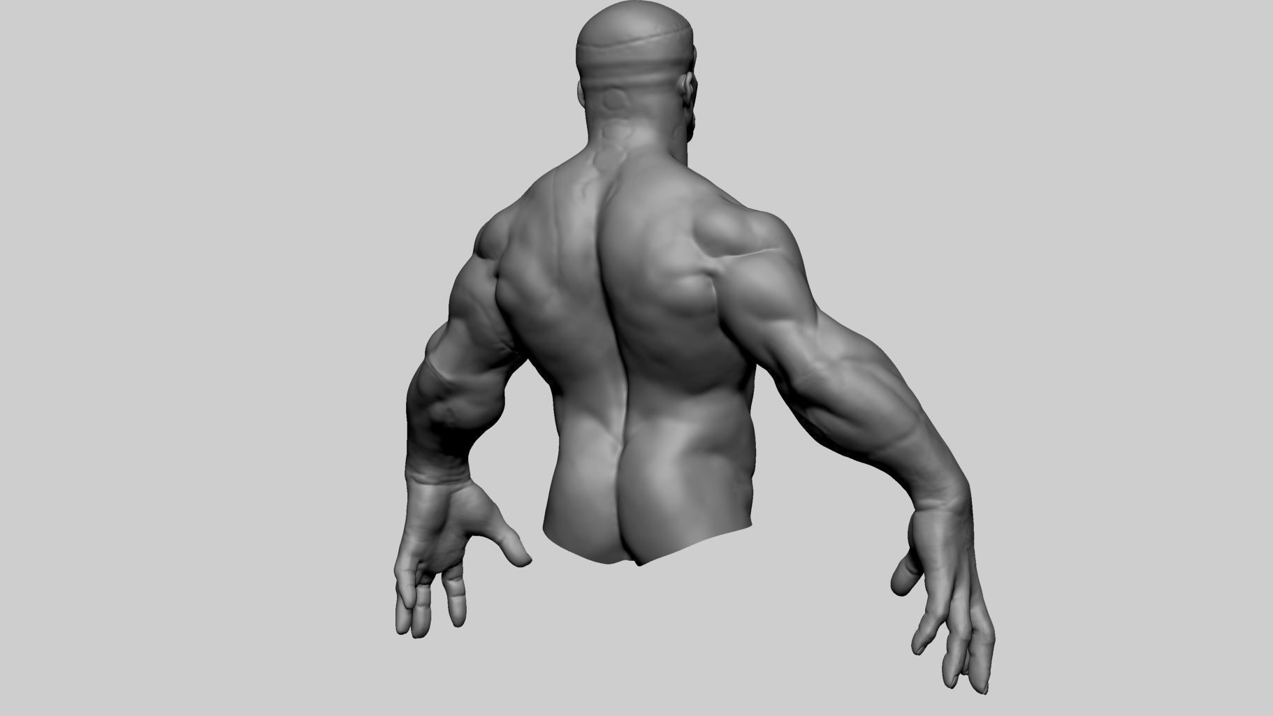 Stylized Creature Upper Body 3D model_4
