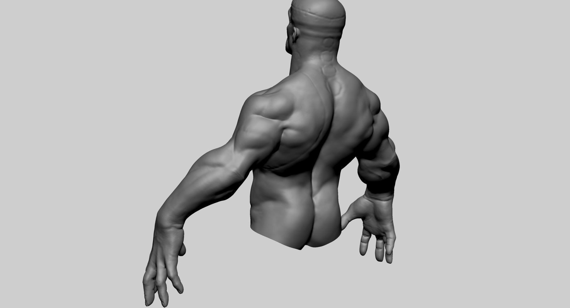 Stylized Creature Upper Body 3D model_6