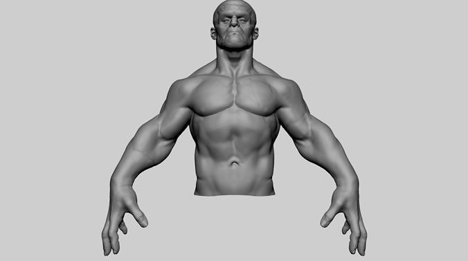 Stylized Creature Upper Body 3D model