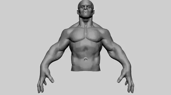 Stylized Creature Upper Body 3D model