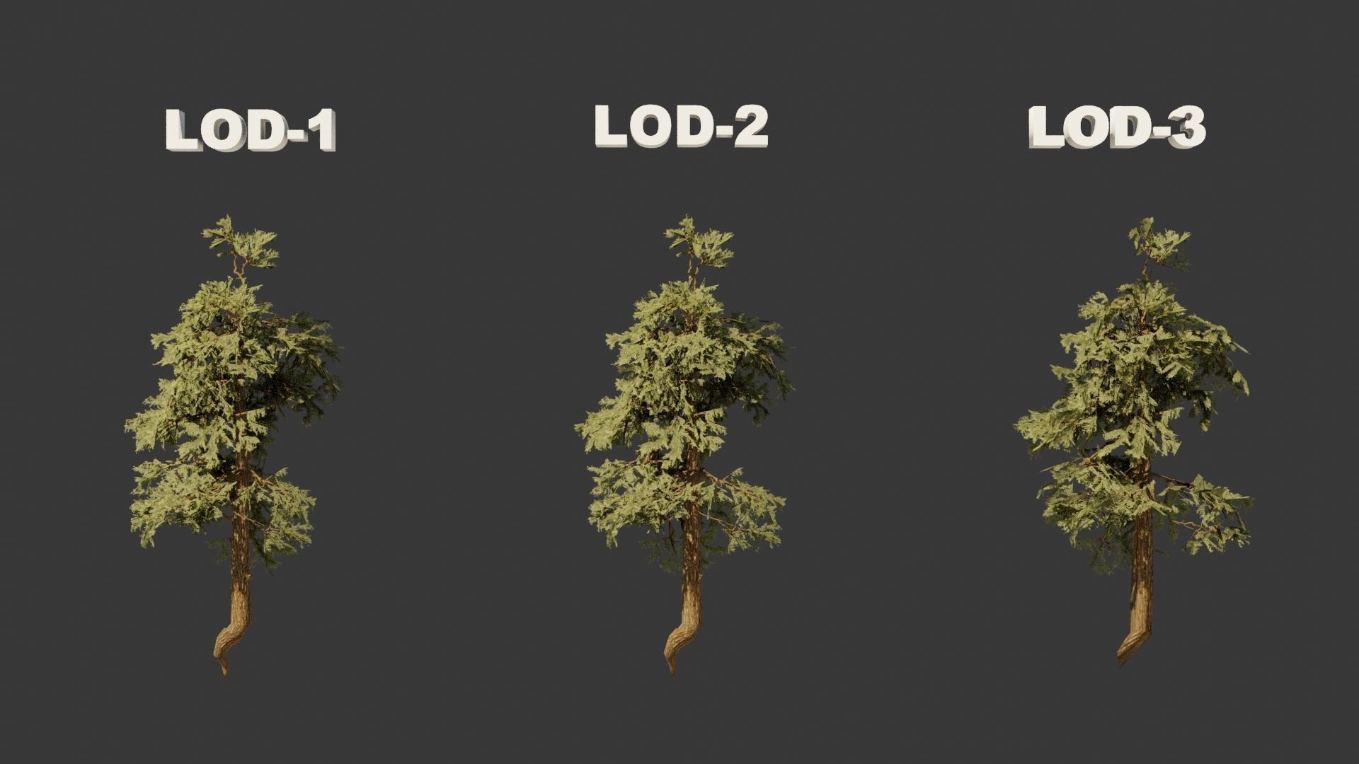 Pinyon Pine 8 Low-poly 3D model_7