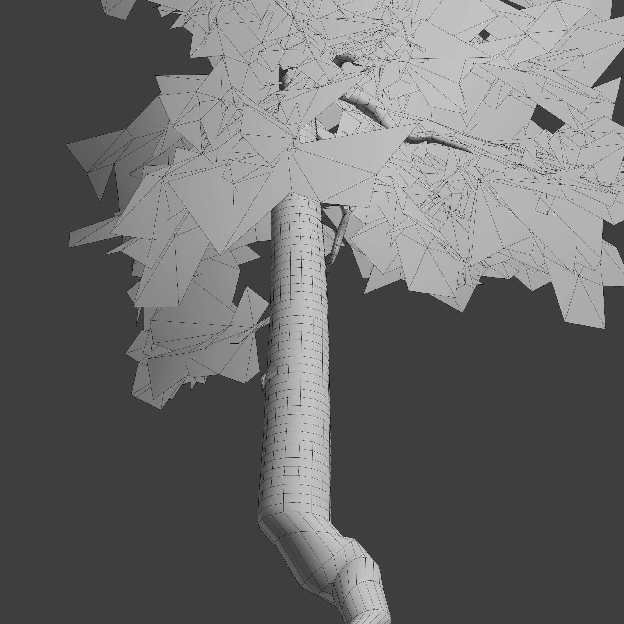 Pinyon Pine 8 Low-poly 3D model_10