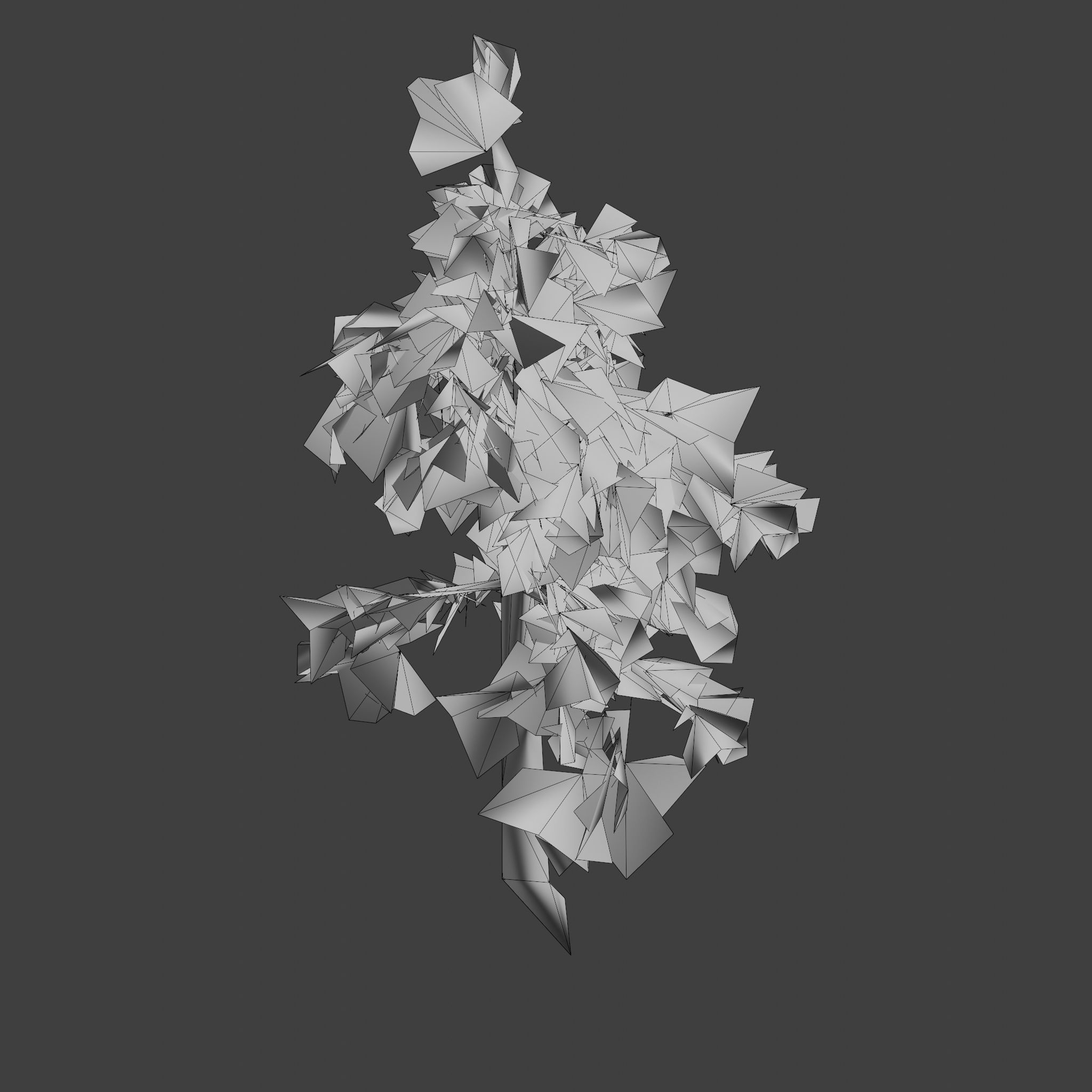 Pinyon Pine 8 Low-poly 3D model_12