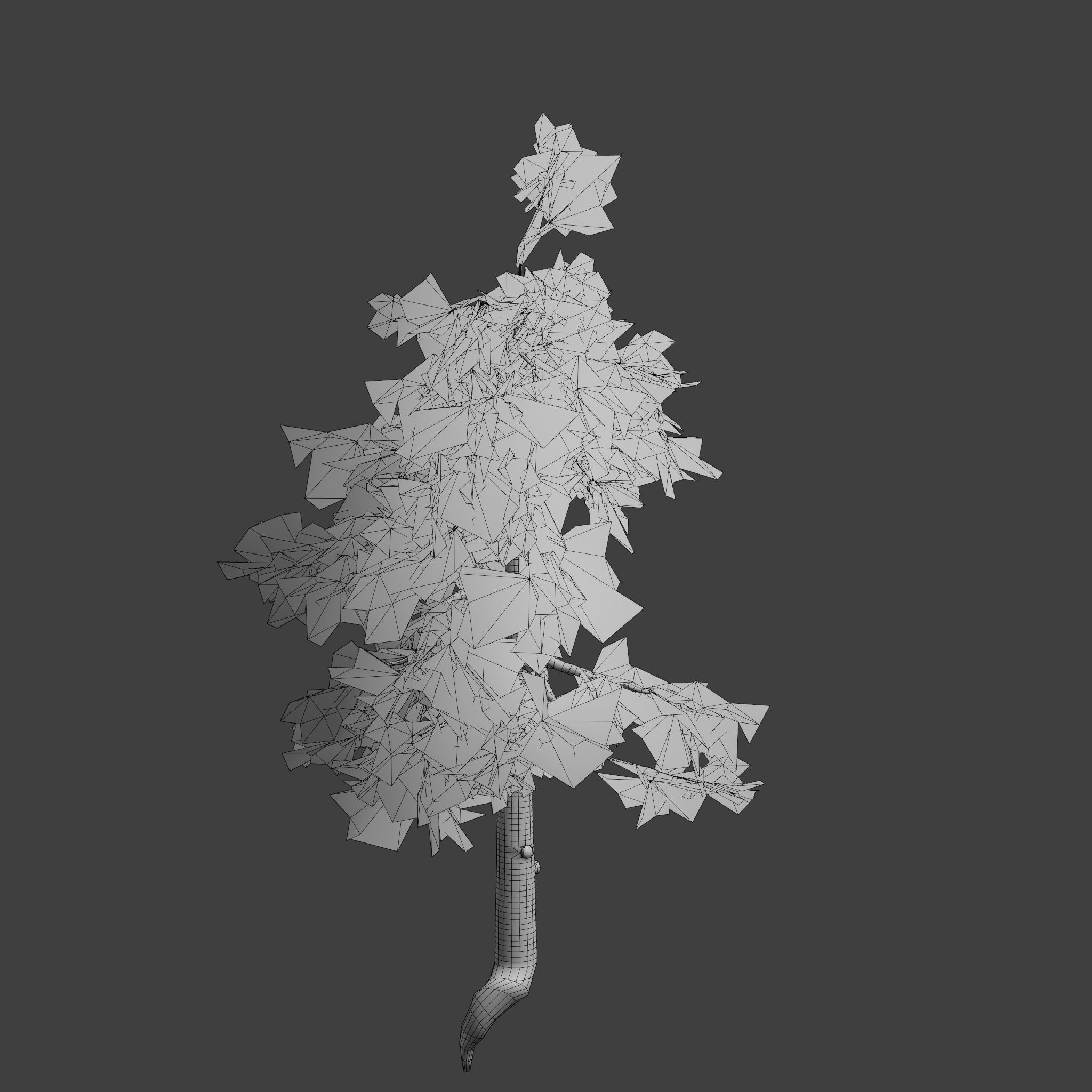 Pinyon Pine 8 Low-poly 3D model_9
