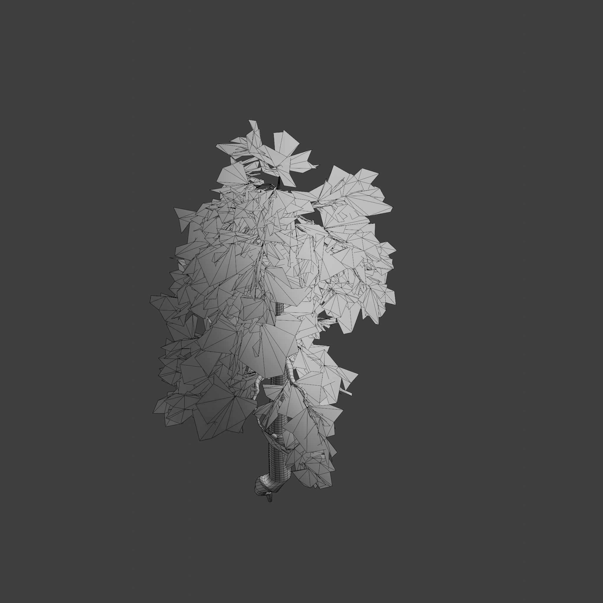 Pinyon Pine 8 Low-poly 3D model_8