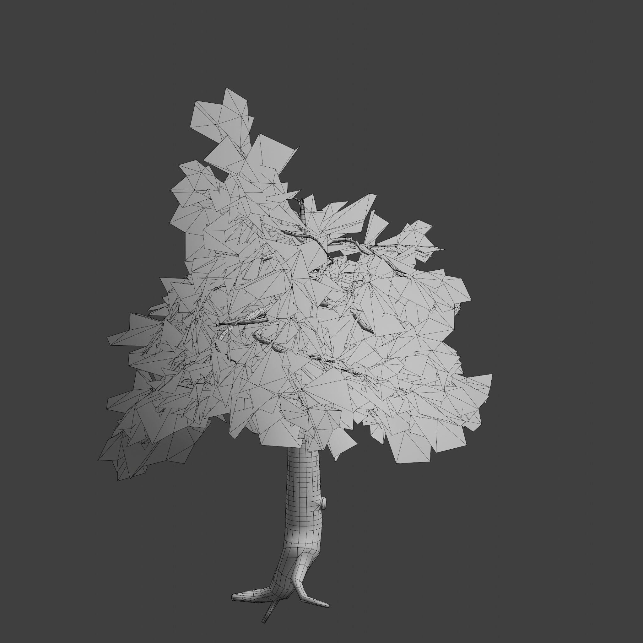 Pinyon Pine 7 Low-poly 3D model_9