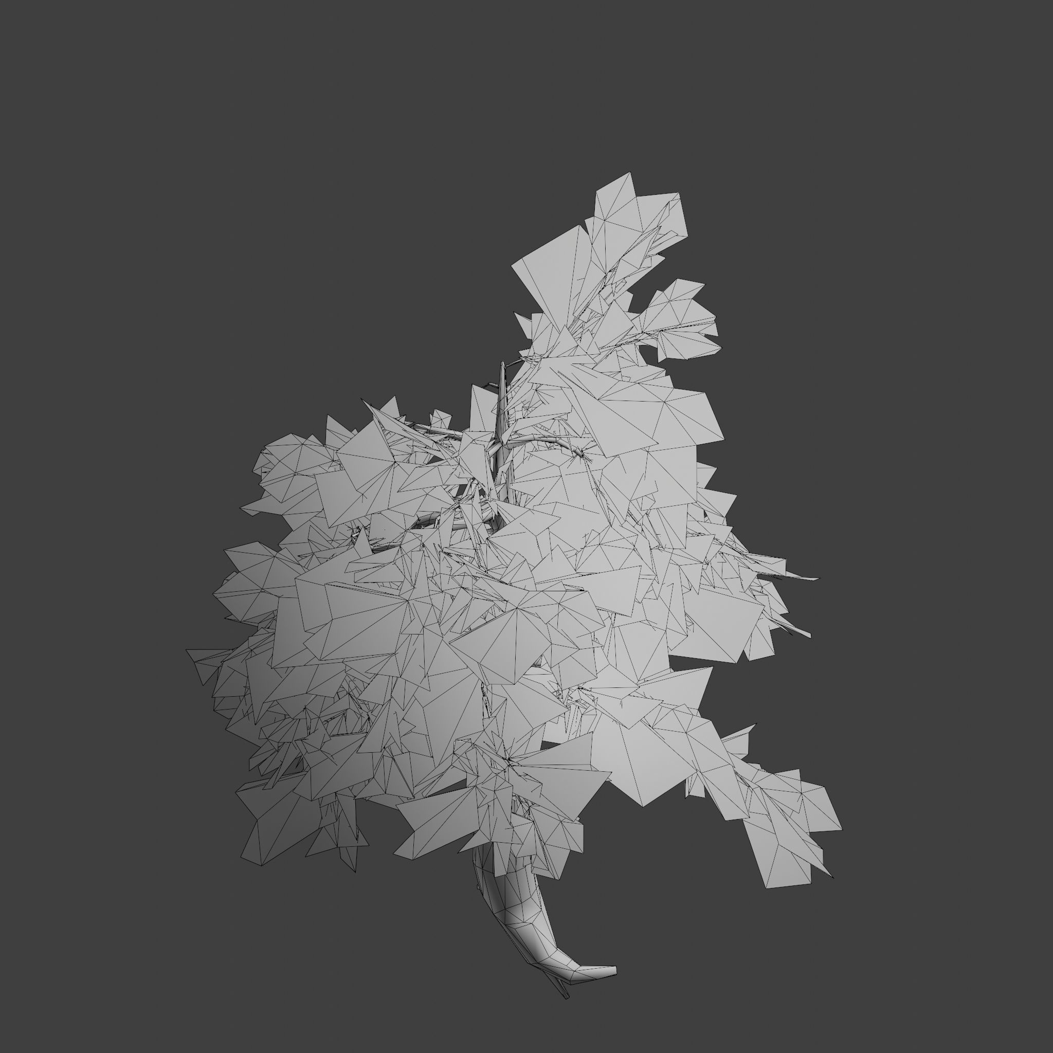 Pinyon Pine 7 Low-poly 3D model_11