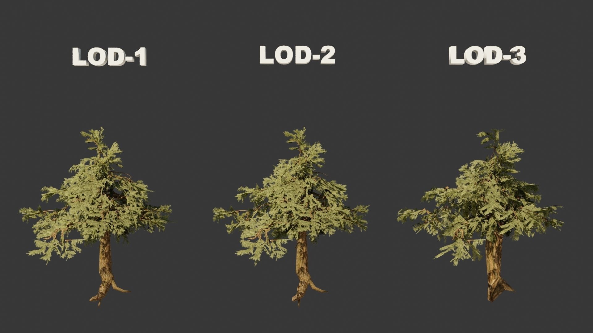 Pinyon Pine 7 Low-poly 3D model_7
