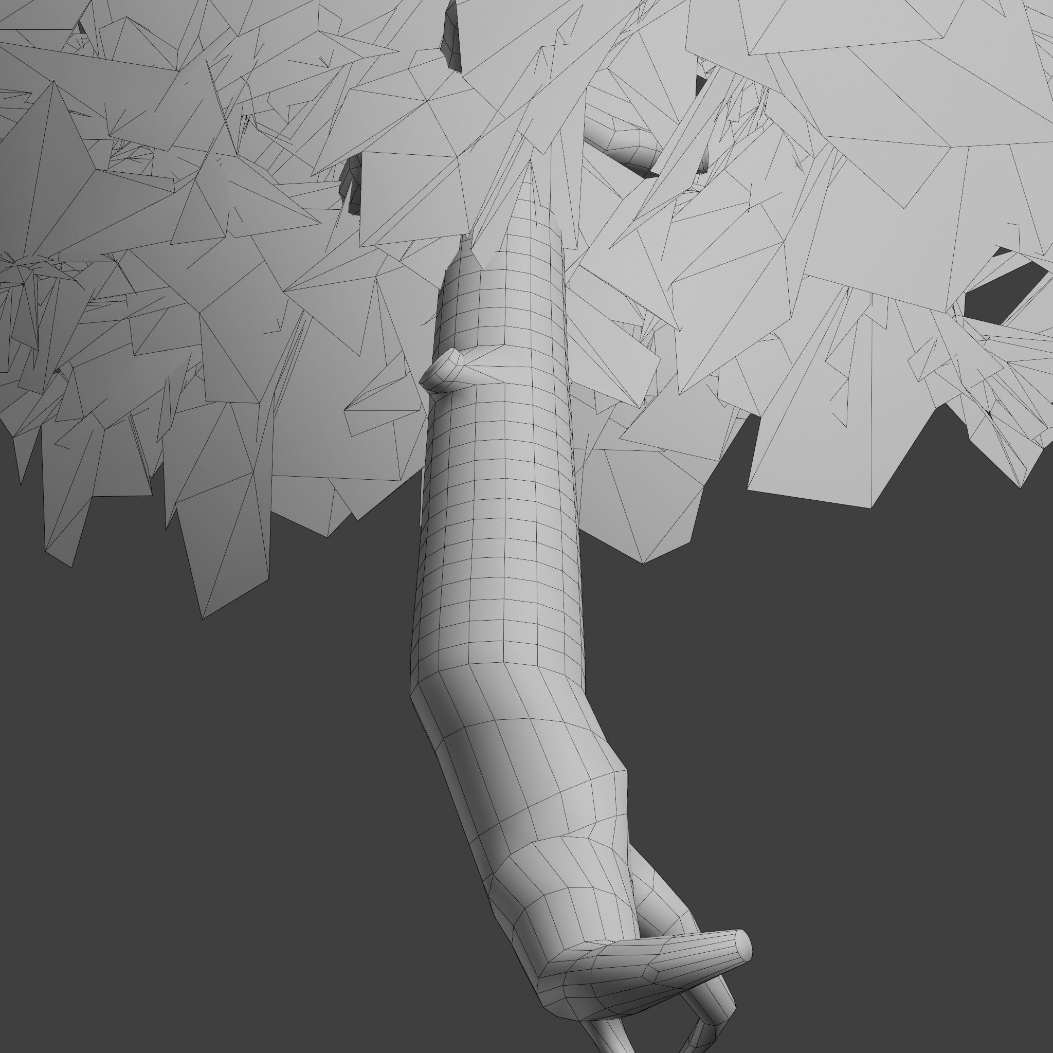 Pinyon Pine 7 Low-poly 3D model_10