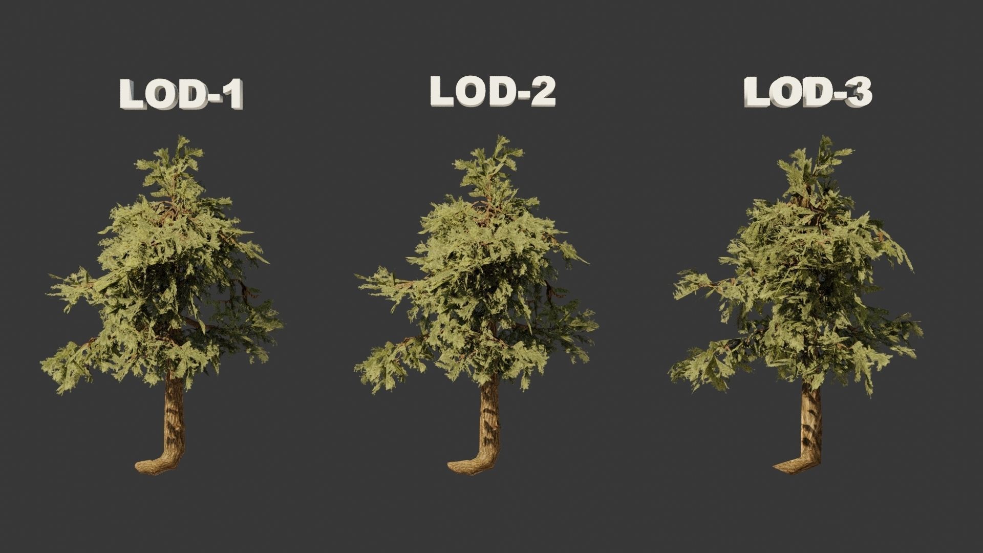 Pinyon Pine 5 Low-poly 3D model_7