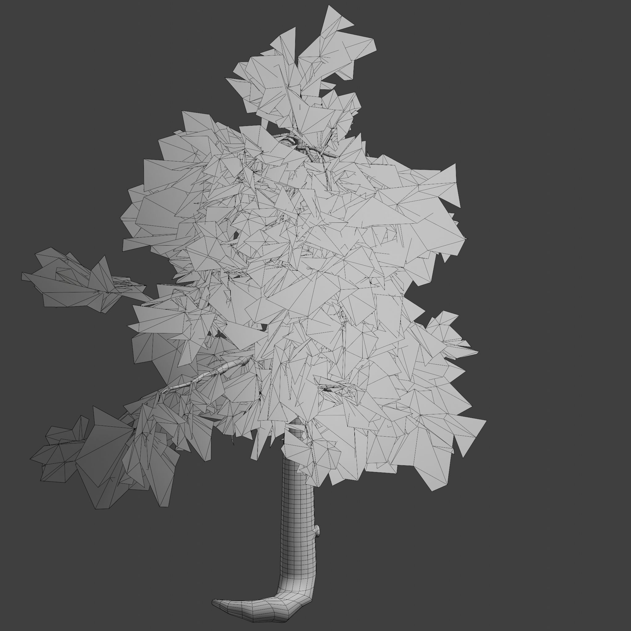 Pinyon Pine 5 Low-poly 3D model_9
