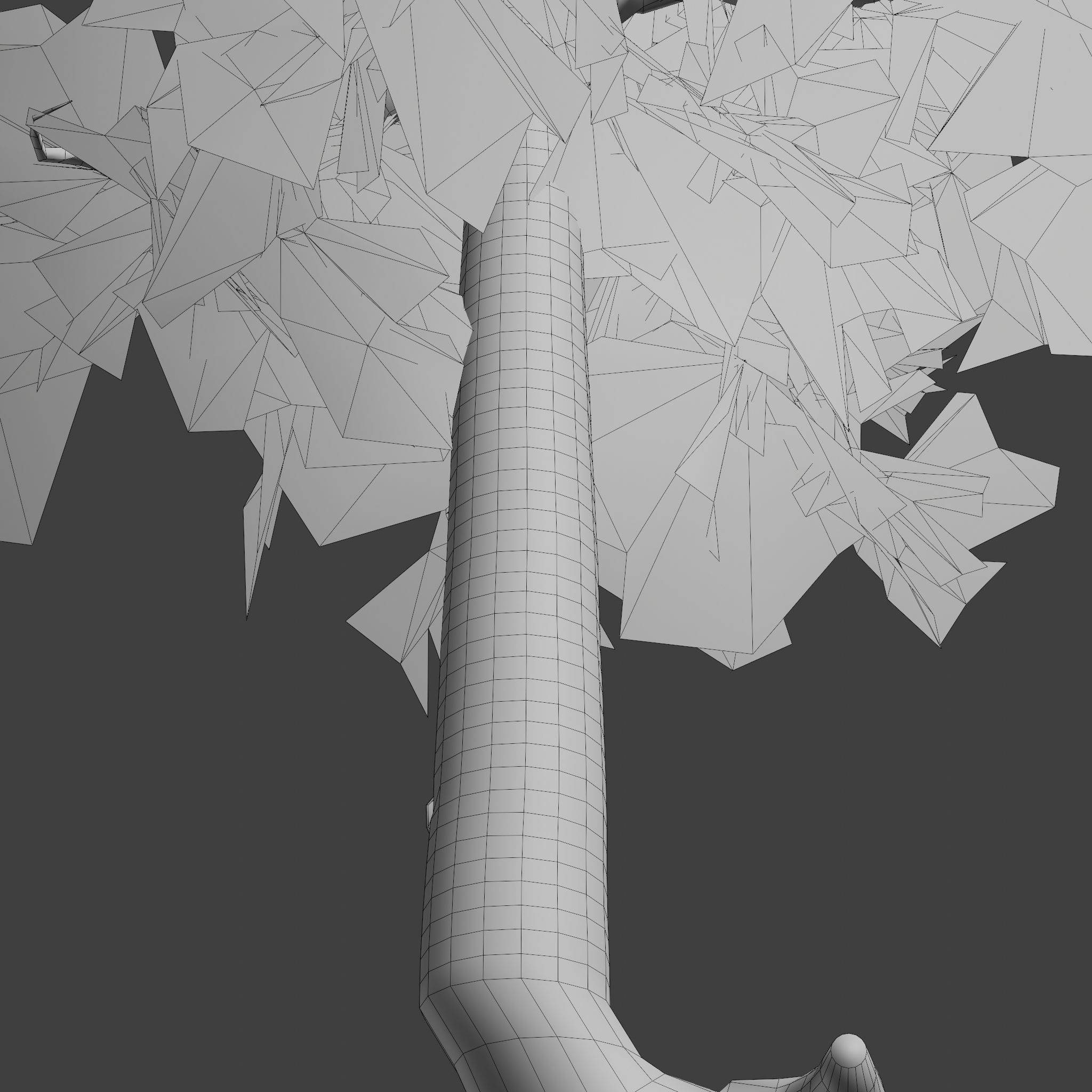 Pinyon Pine 5 Low-poly 3D model_10