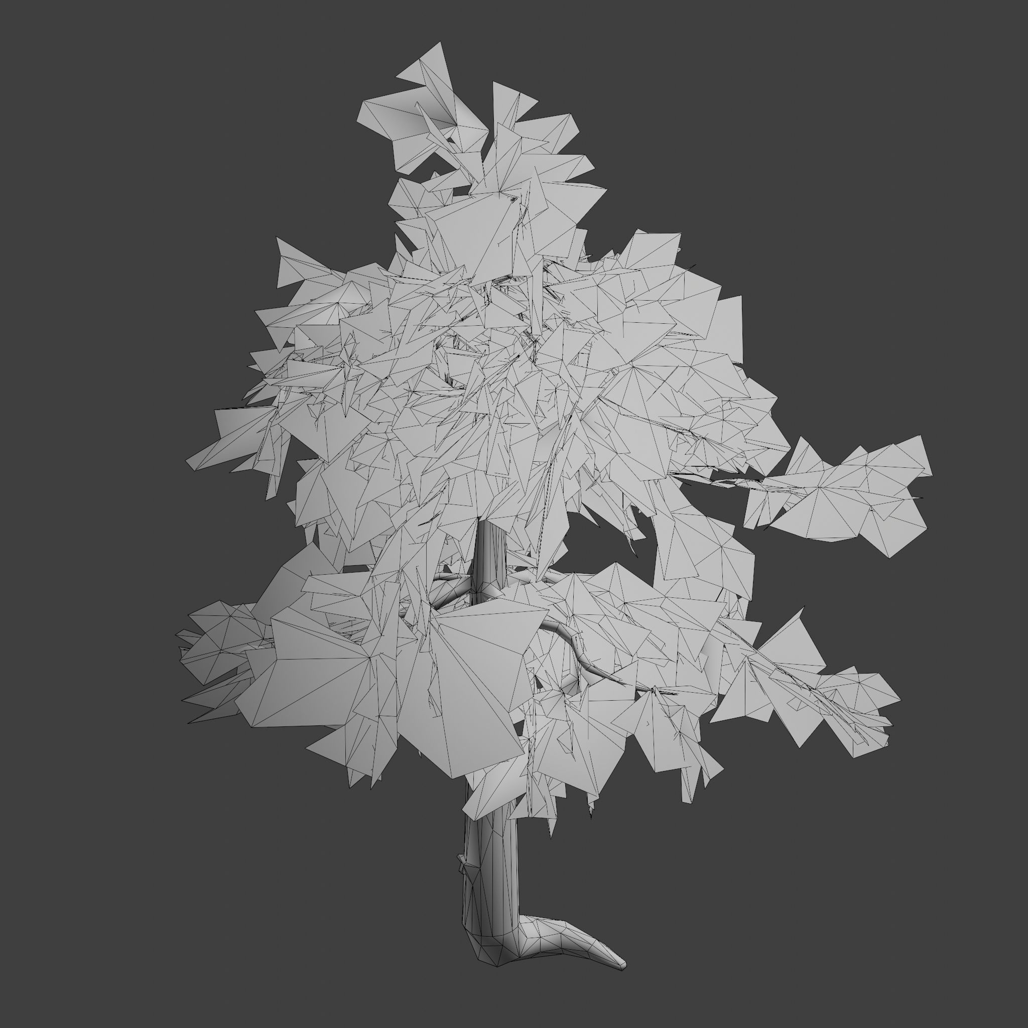 Pinyon Pine 5 Low-poly 3D model_11