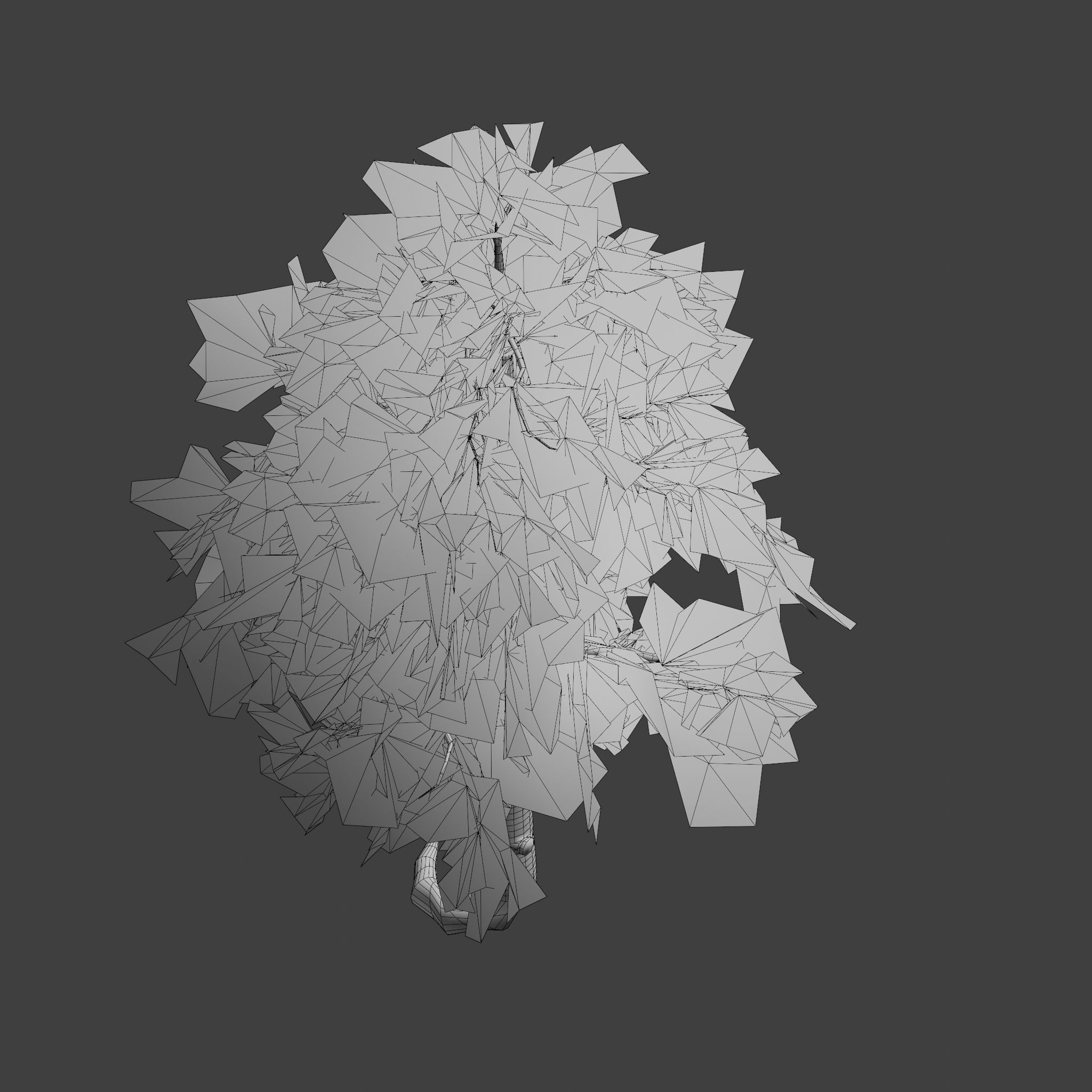 Pinyon Pine 5 Low-poly 3D model_8