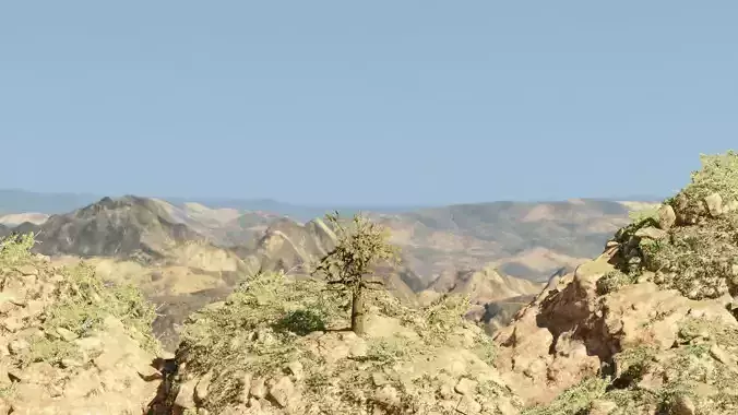 Pinyon Pine 15 Low-poly 3D model