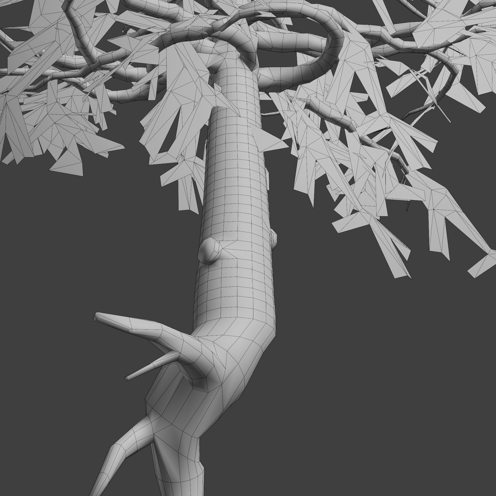 Pinyon Pine 14 Low-poly 3D model_10