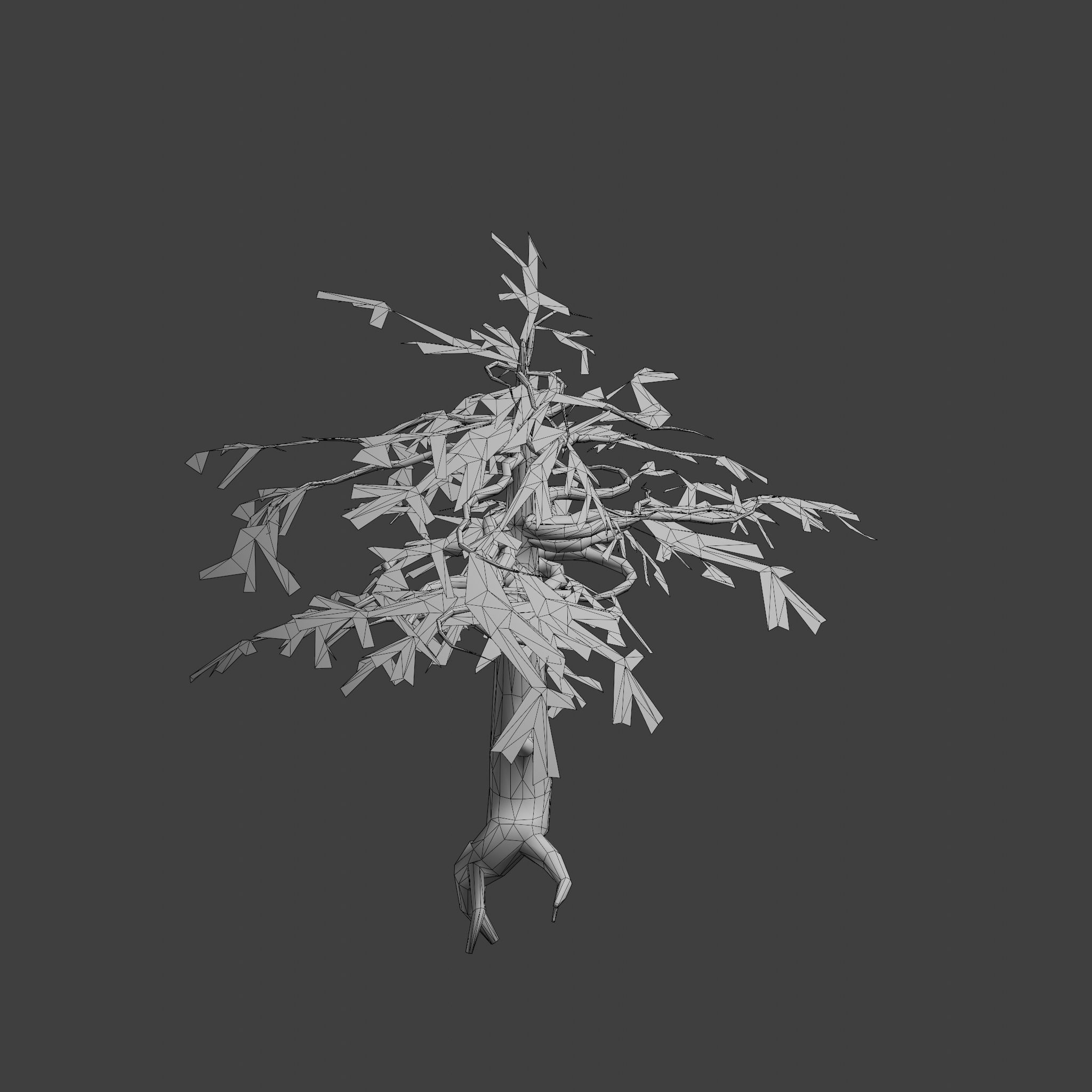 Pinyon Pine 14 Low-poly 3D model_11