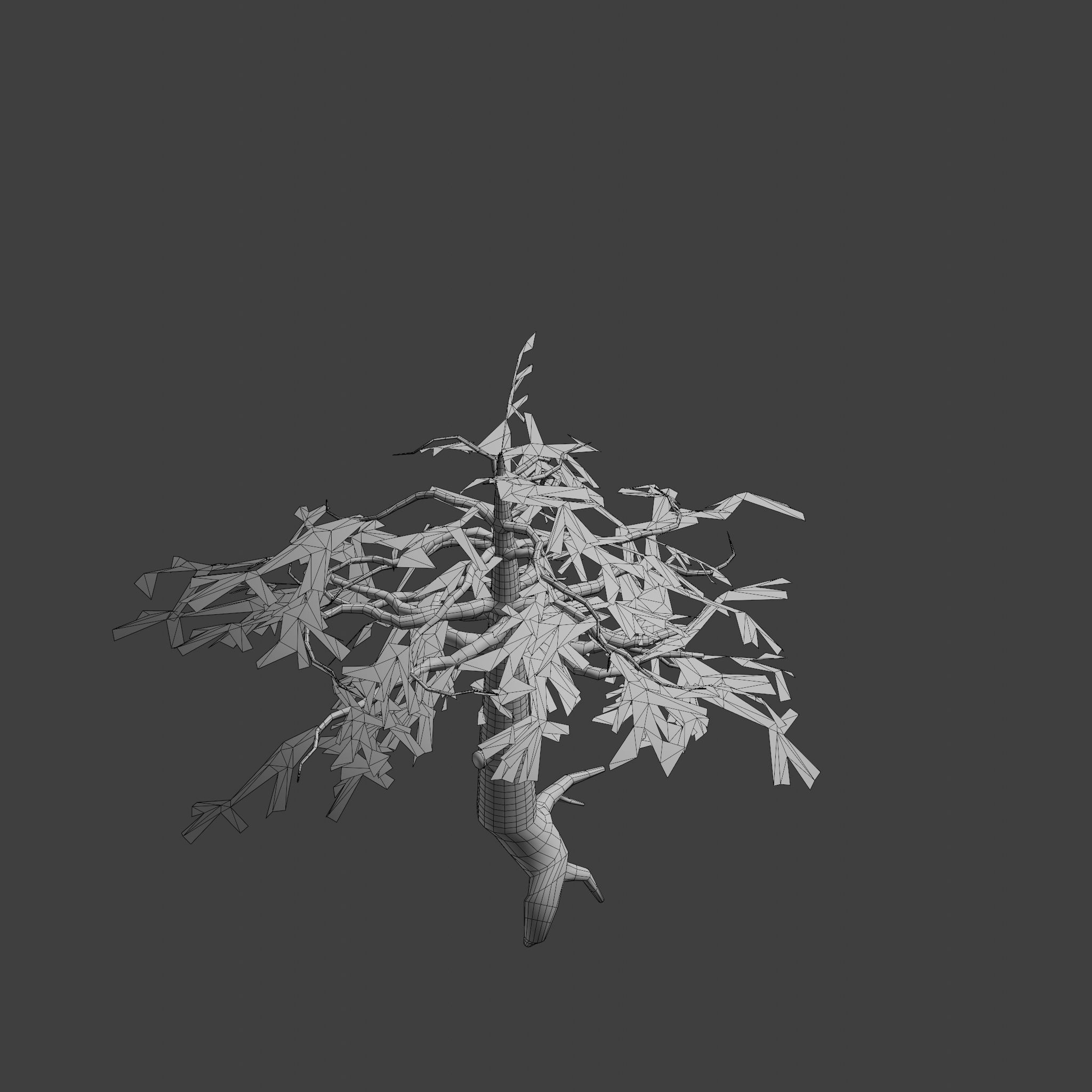 Pinyon Pine 14 Low-poly 3D model_8