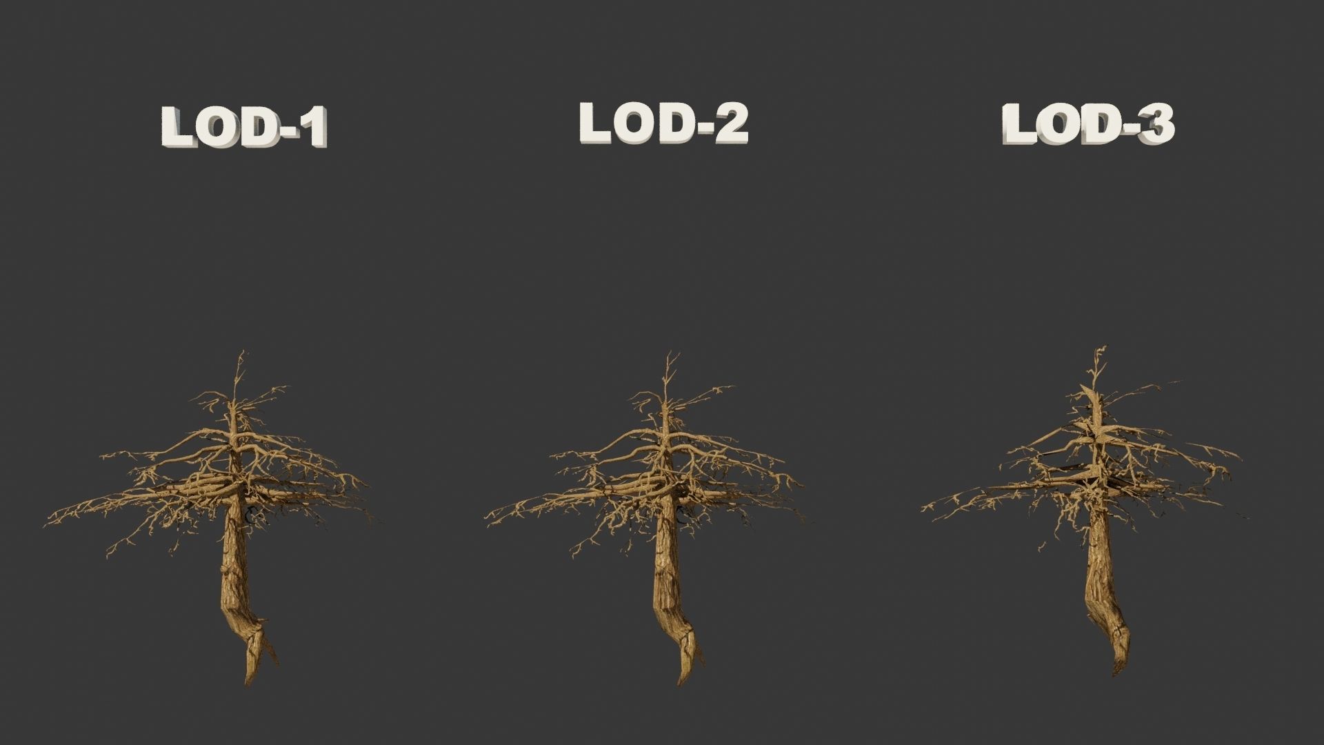Pinyon Pine 14 Low-poly 3D model_7