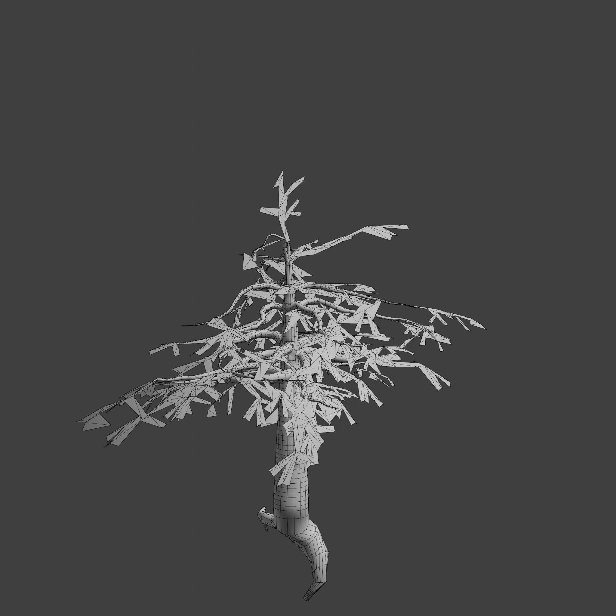Pinyon Pine 14 Low-poly 3D model_9